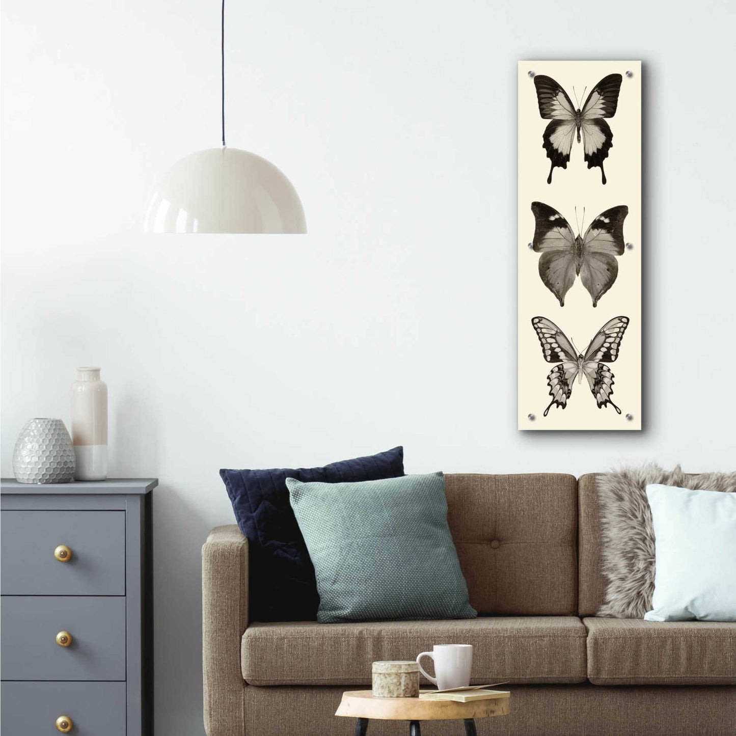 Epic Art 'Butterfly BW Panel I' by Debra Van Swearingen, Acrylic Glass Wall Art,12x36