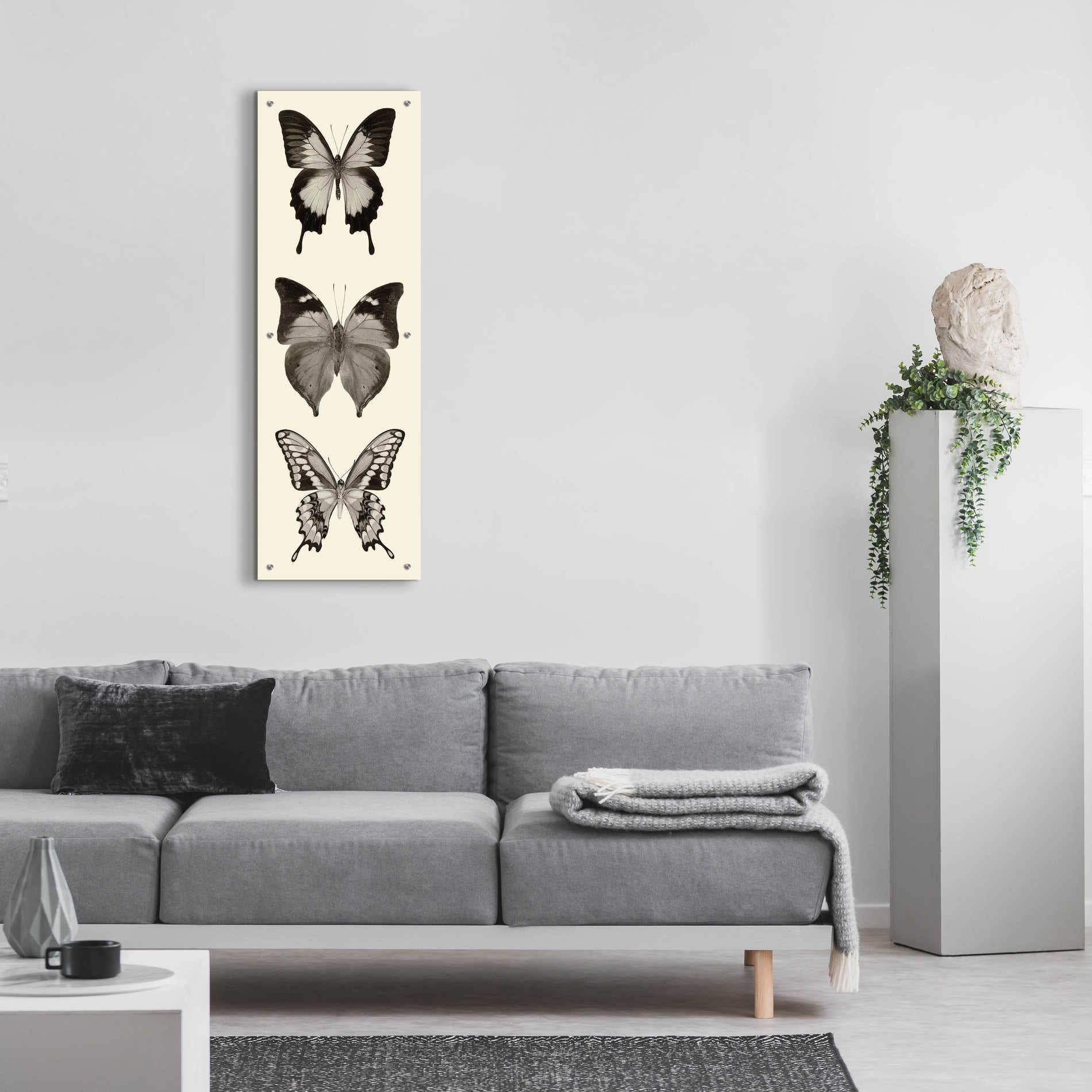 Epic Art 'Butterfly BW Panel I' by Debra Van Swearingen, Acrylic Glass Wall Art,16x48