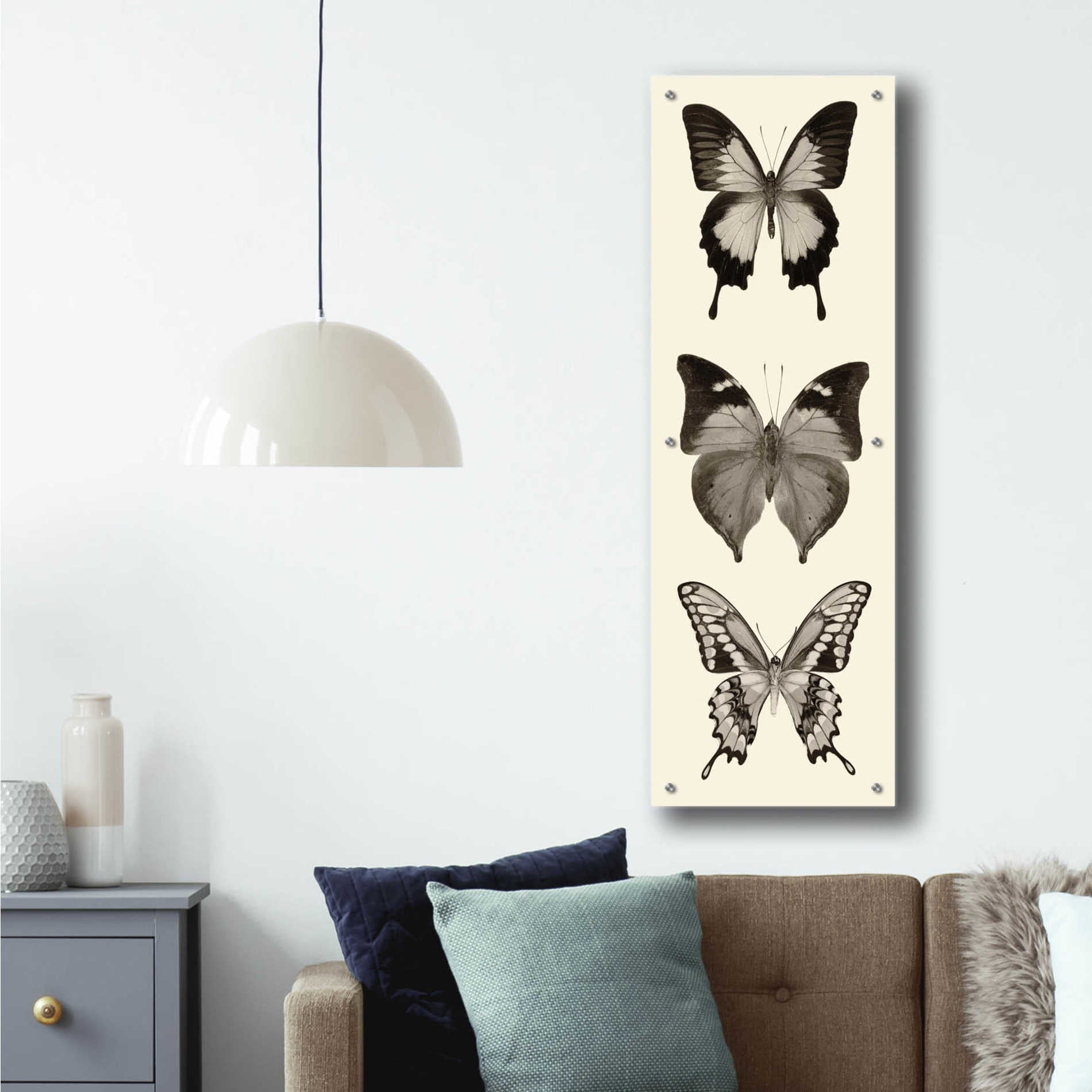 Epic Art 'Butterfly BW Panel I' by Debra Van Swearingen, Acrylic Glass Wall Art,16x48