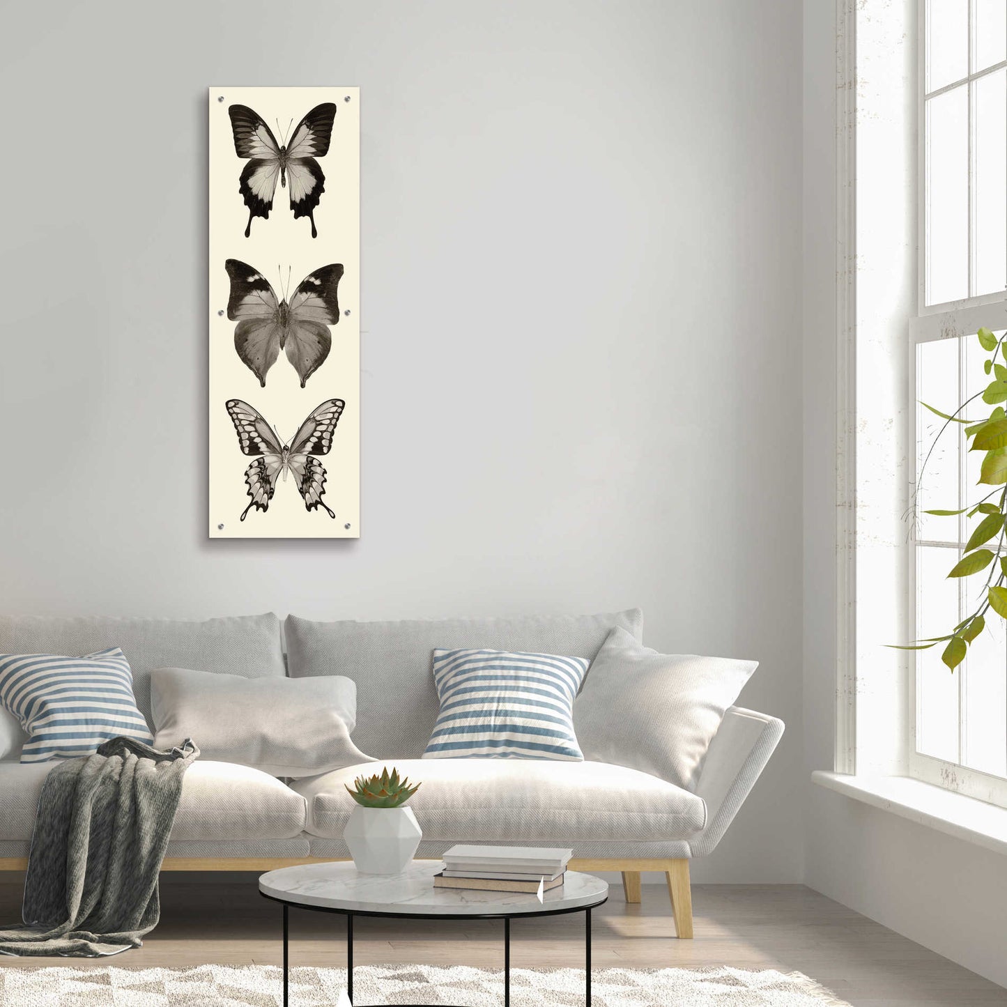 Epic Art 'Butterfly BW Panel I' by Debra Van Swearingen, Acrylic Glass Wall Art,16x48