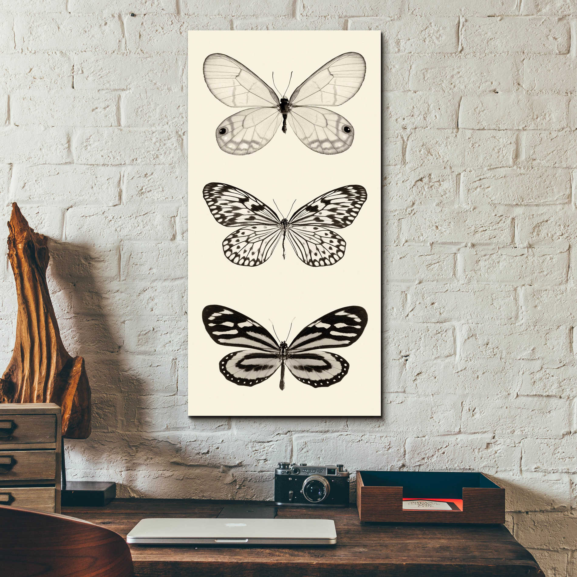 Epic Art 'Butterfly BW Panel II' by Debra Van Swearingen, Acrylic Glass Wall Art,12x24