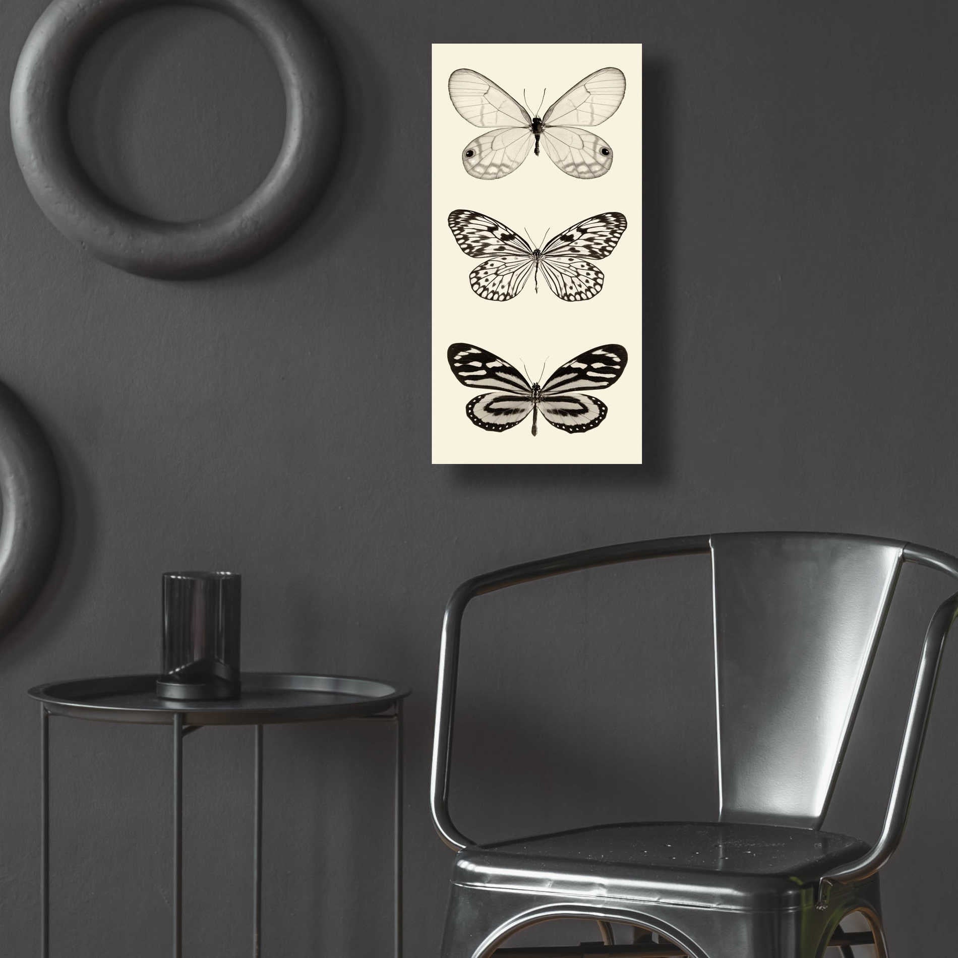 Epic Art 'Butterfly BW Panel II' by Debra Van Swearingen, Acrylic Glass Wall Art,12x24