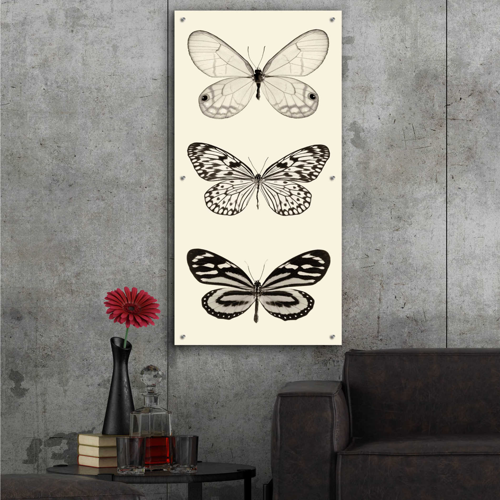 Epic Art 'Butterfly BW Panel II' by Debra Van Swearingen, Acrylic Glass Wall Art,24x48