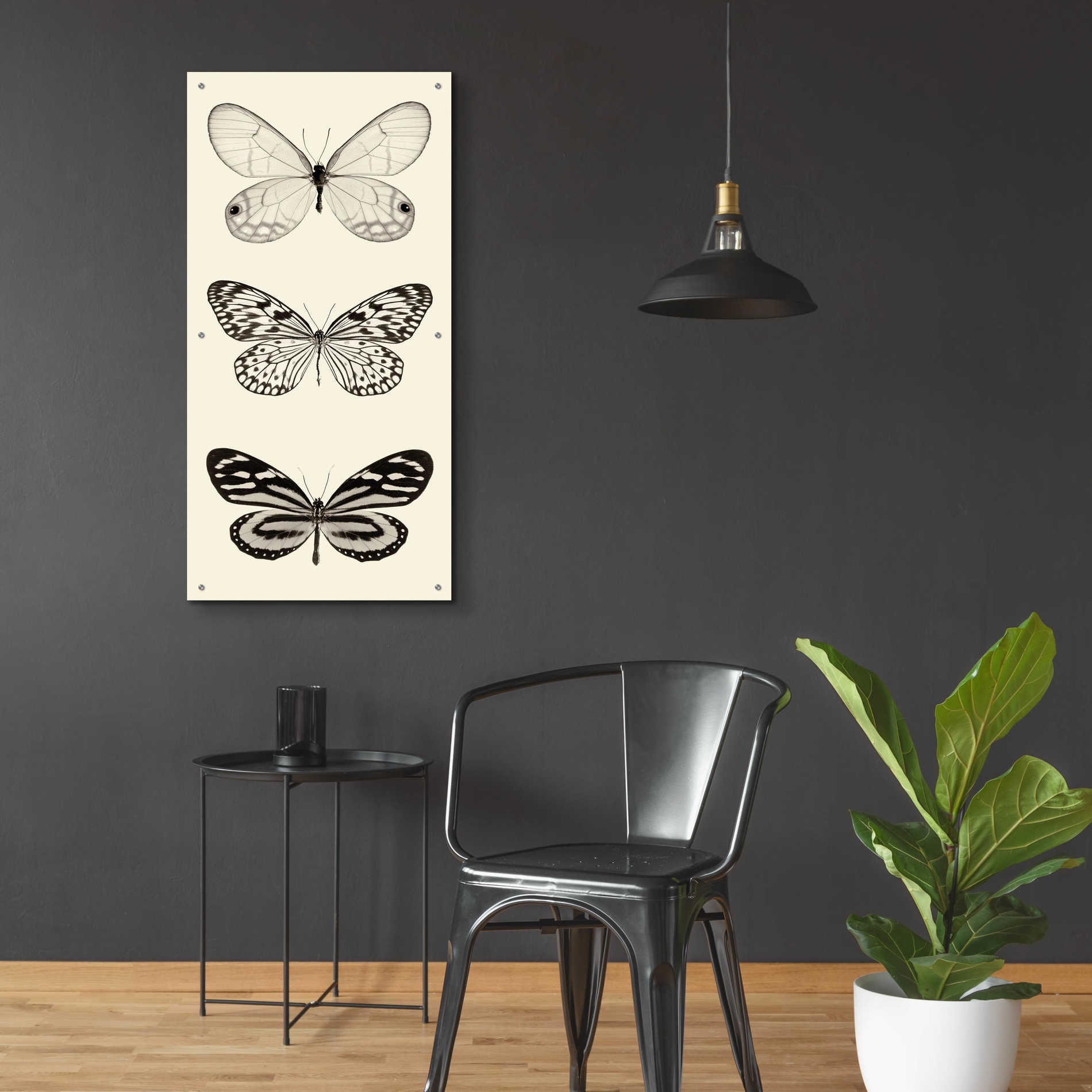 Epic Art 'Butterfly BW Panel II' by Debra Van Swearingen, Acrylic Glass Wall Art,24x48