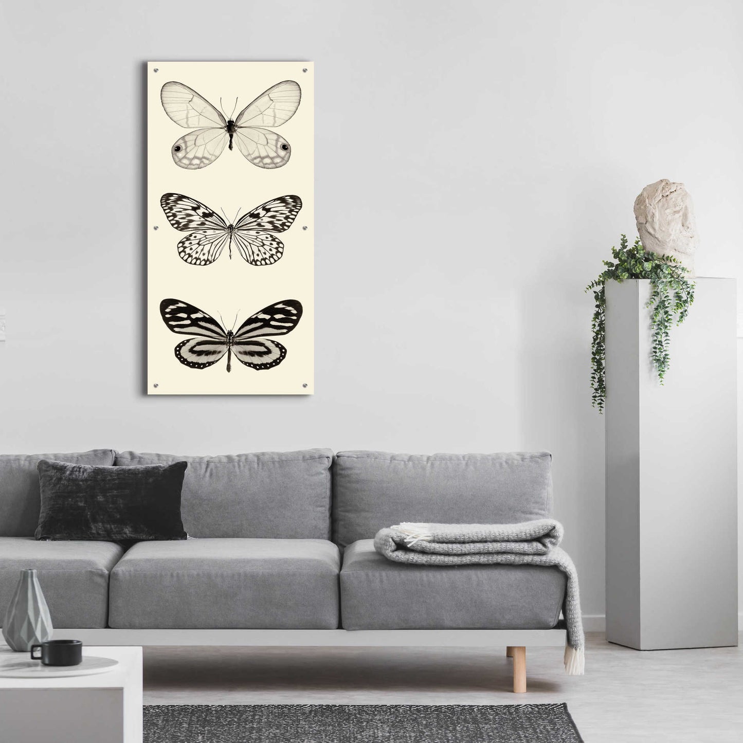 Epic Art 'Butterfly BW Panel II' by Debra Van Swearingen, Acrylic Glass Wall Art,24x48