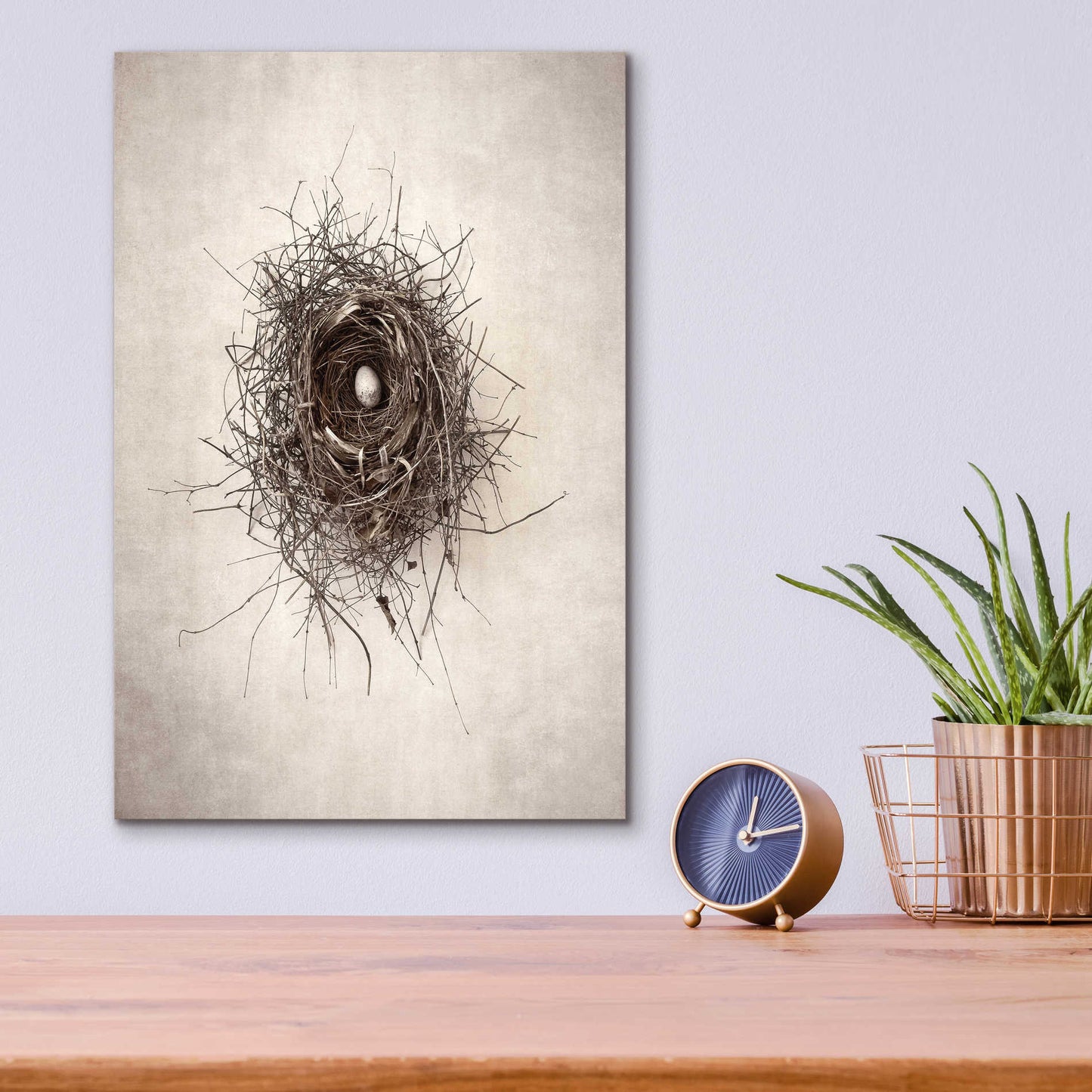 Epic Art 'Nest I' by Debra Van Swearingen, Acrylic Glass Wall Art,12x16