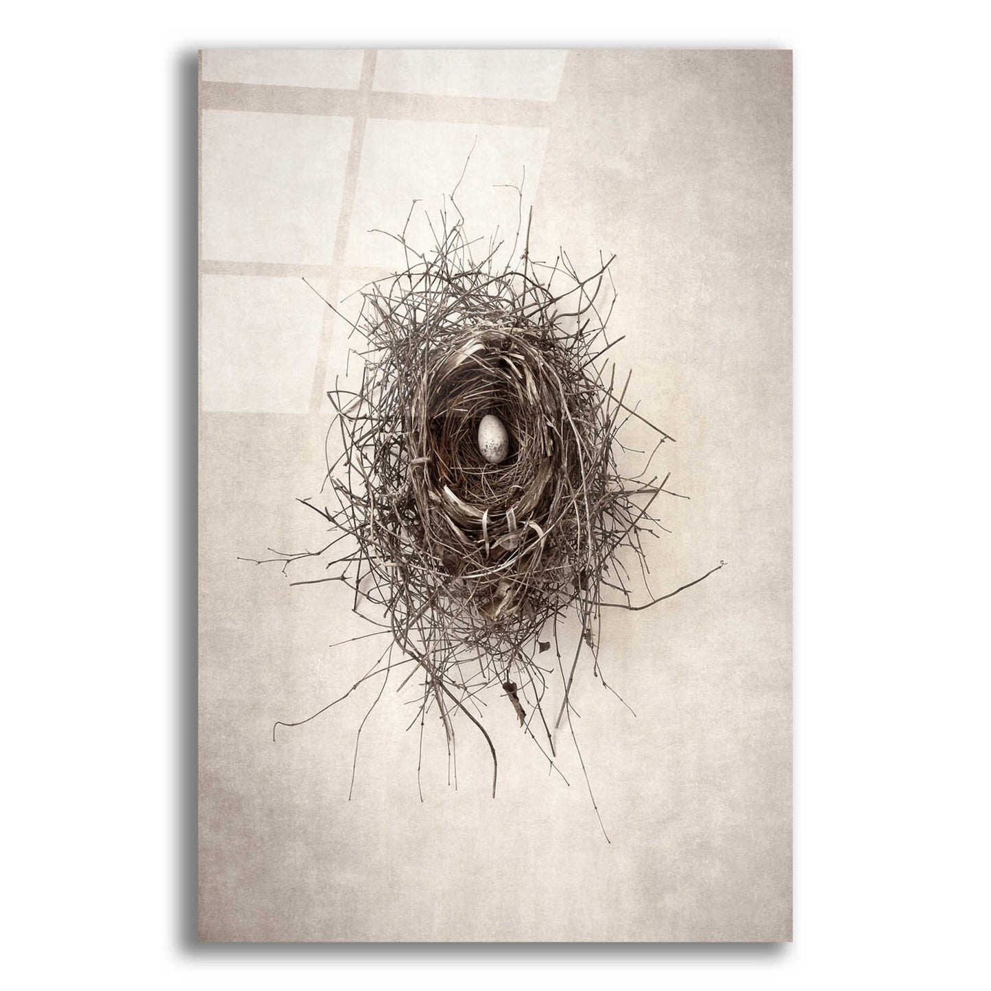 Epic Art 'Nest I' by Debra Van Swearingen, Acrylic Glass Wall Art,12x16