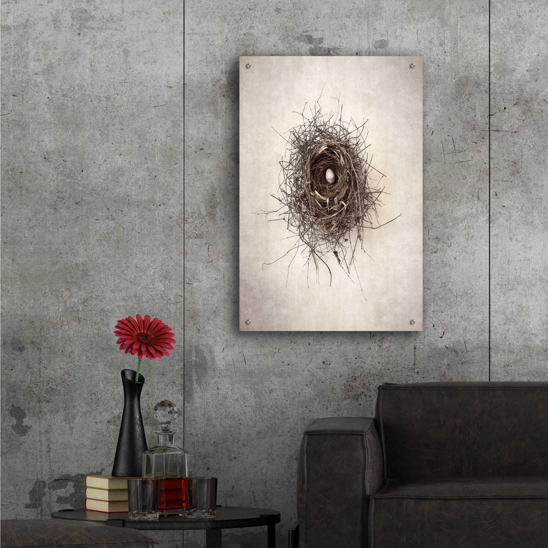 Epic Art 'Nest I' by Debra Van Swearingen, Acrylic Glass Wall Art,24x36