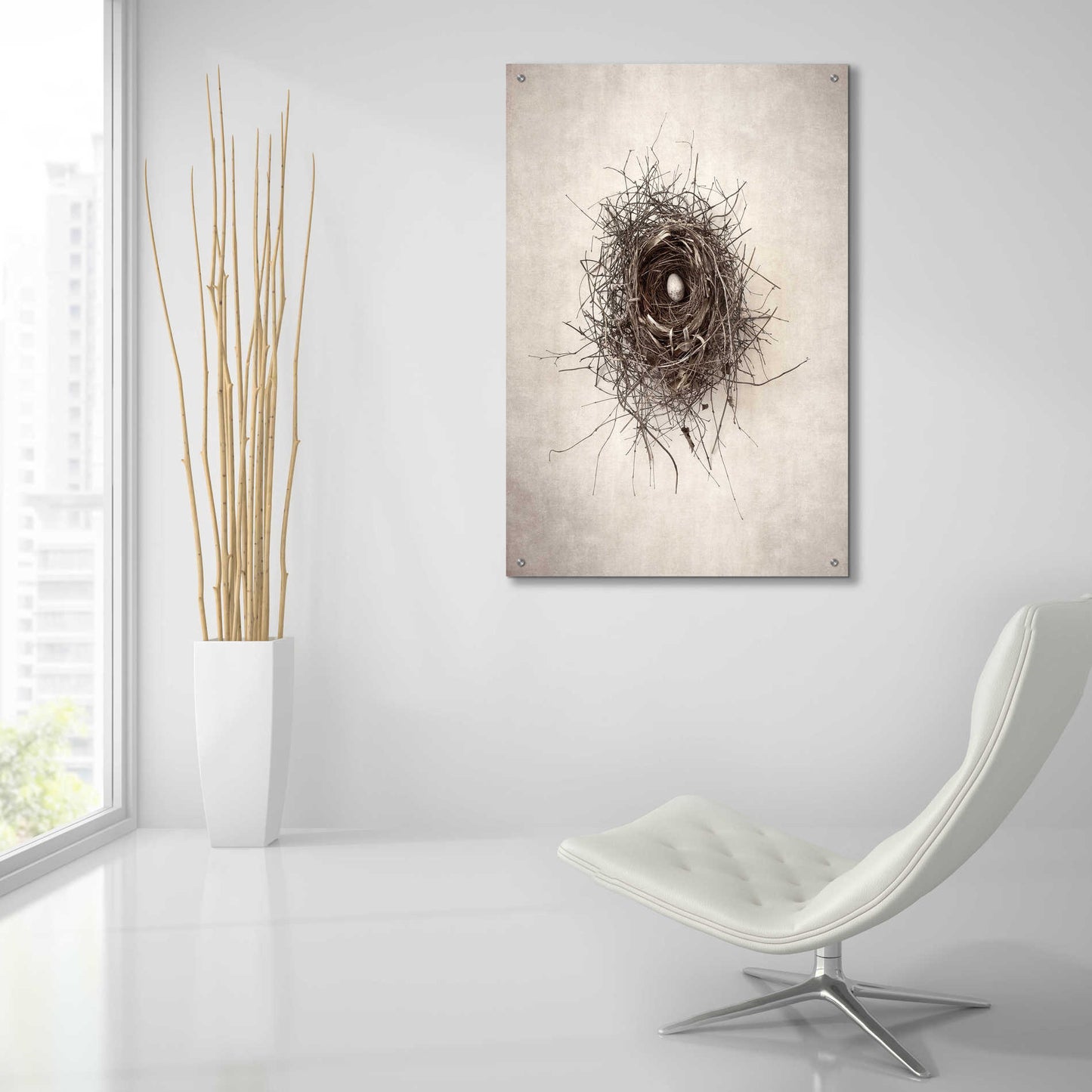 Epic Art 'Nest I' by Debra Van Swearingen, Acrylic Glass Wall Art,24x36