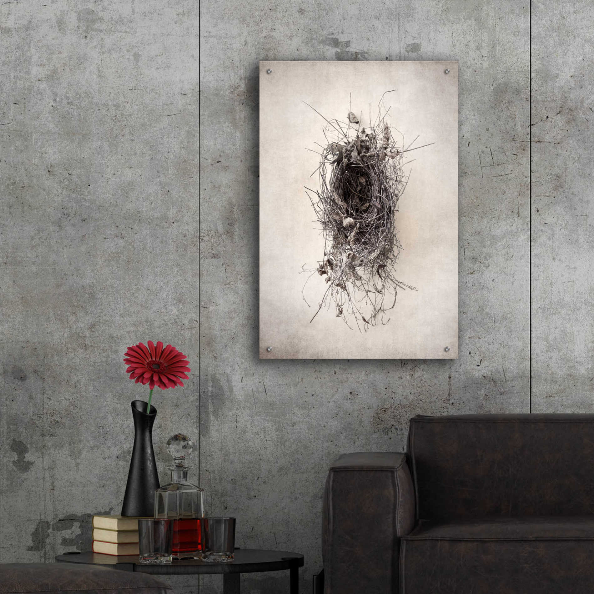 Epic Art 'Nest II' by Debra Van Swearingen, Acrylic Glass Wall Art,24x36