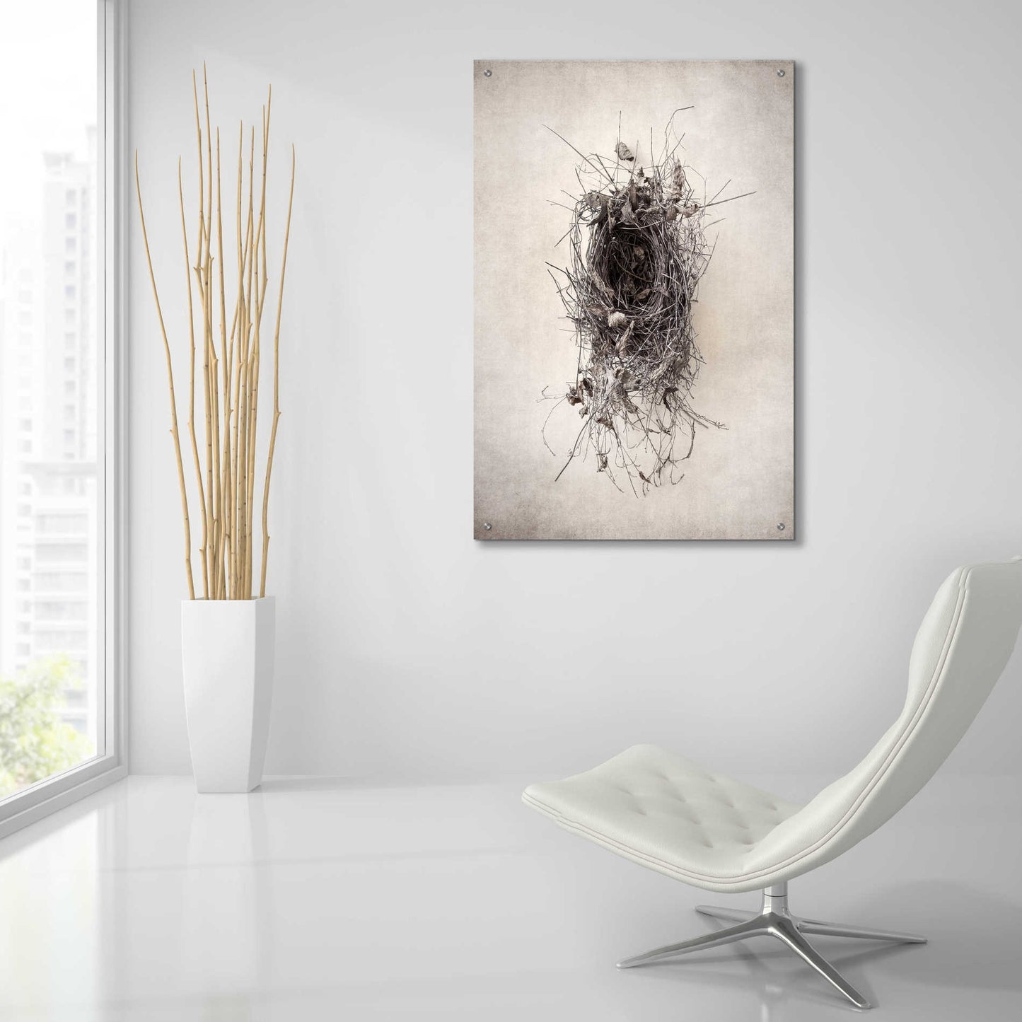 Epic Art 'Nest II' by Debra Van Swearingen, Acrylic Glass Wall Art,24x36