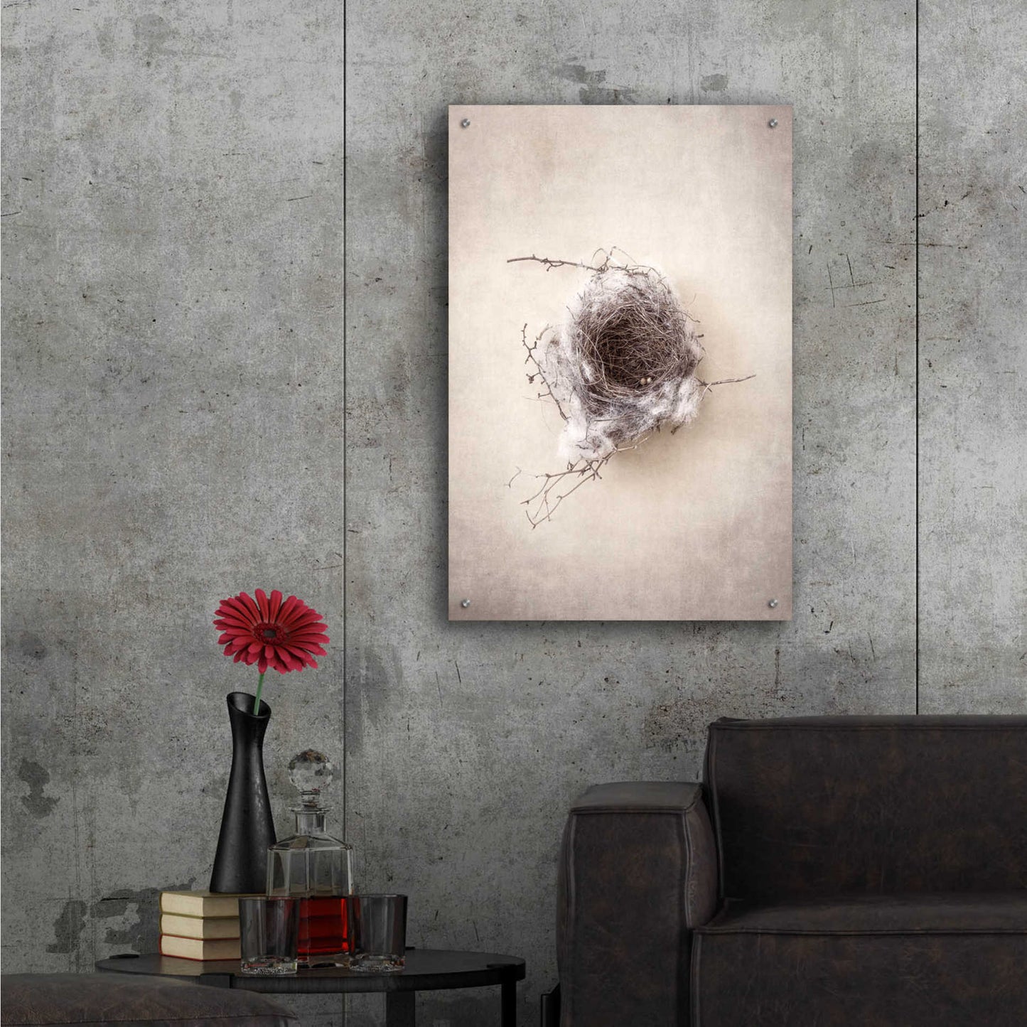 Epic Art 'Nest III' by Debra Van Swearingen, Acrylic Glass Wall Art,24x36