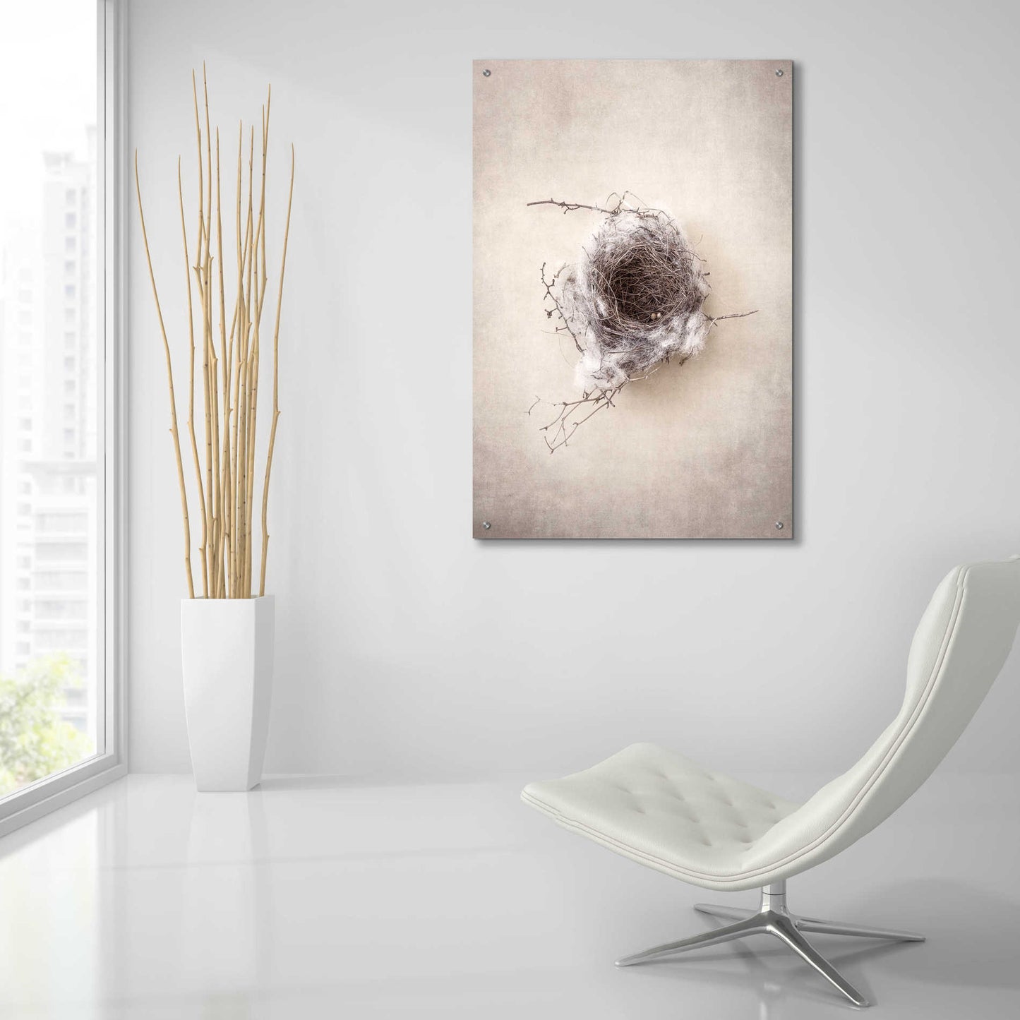 Epic Art 'Nest III' by Debra Van Swearingen, Acrylic Glass Wall Art,24x36