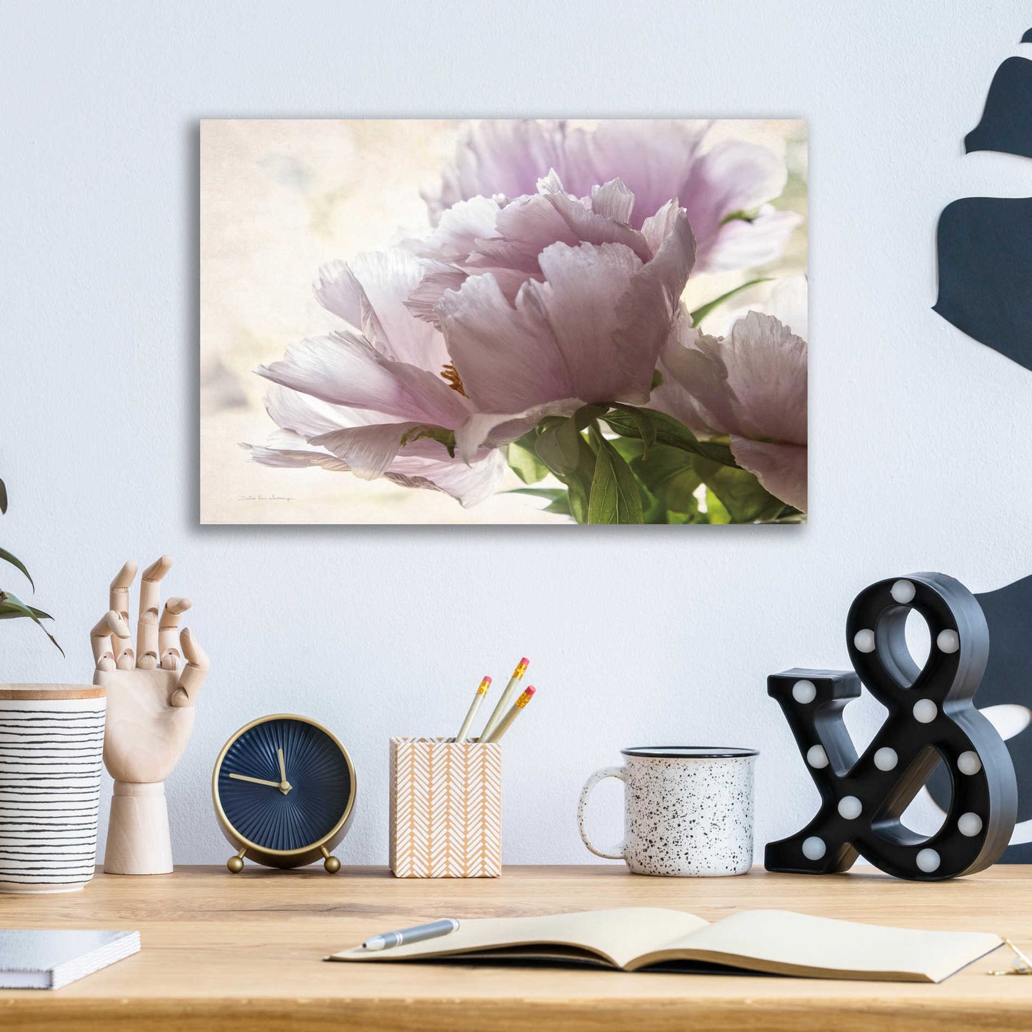 Epic Art 'Translucent Peony I' by Debra Van Swearingen, Acrylic Glass Wall Art,16x12