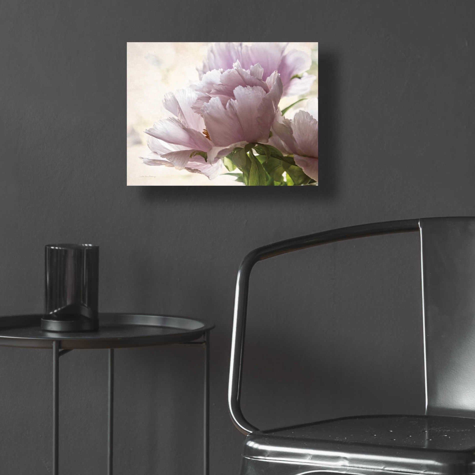 Epic Art 'Translucent Peony I' by Debra Van Swearingen, Acrylic Glass Wall Art,16x12