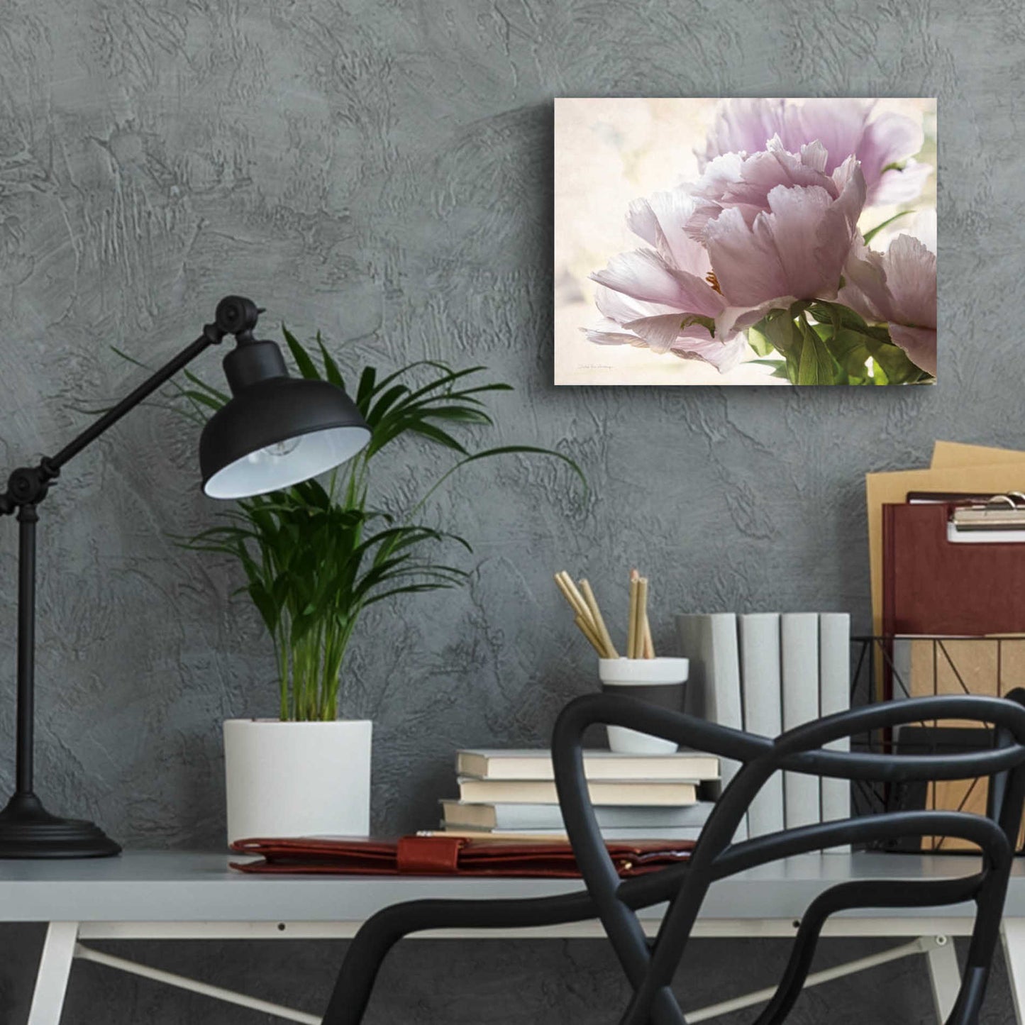 Epic Art 'Translucent Peony I' by Debra Van Swearingen, Acrylic Glass Wall Art,16x12