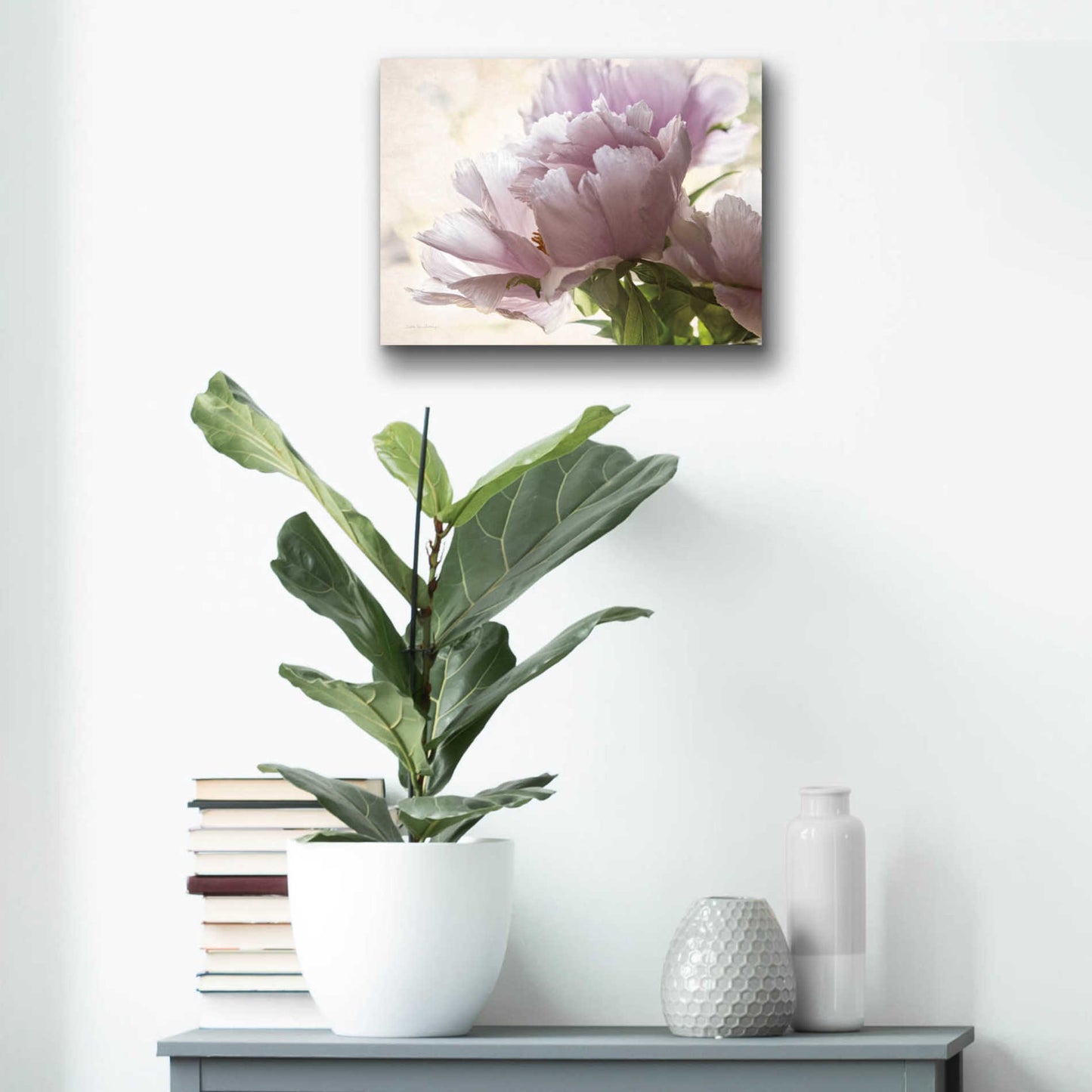 Epic Art 'Translucent Peony I' by Debra Van Swearingen, Acrylic Glass Wall Art,16x12