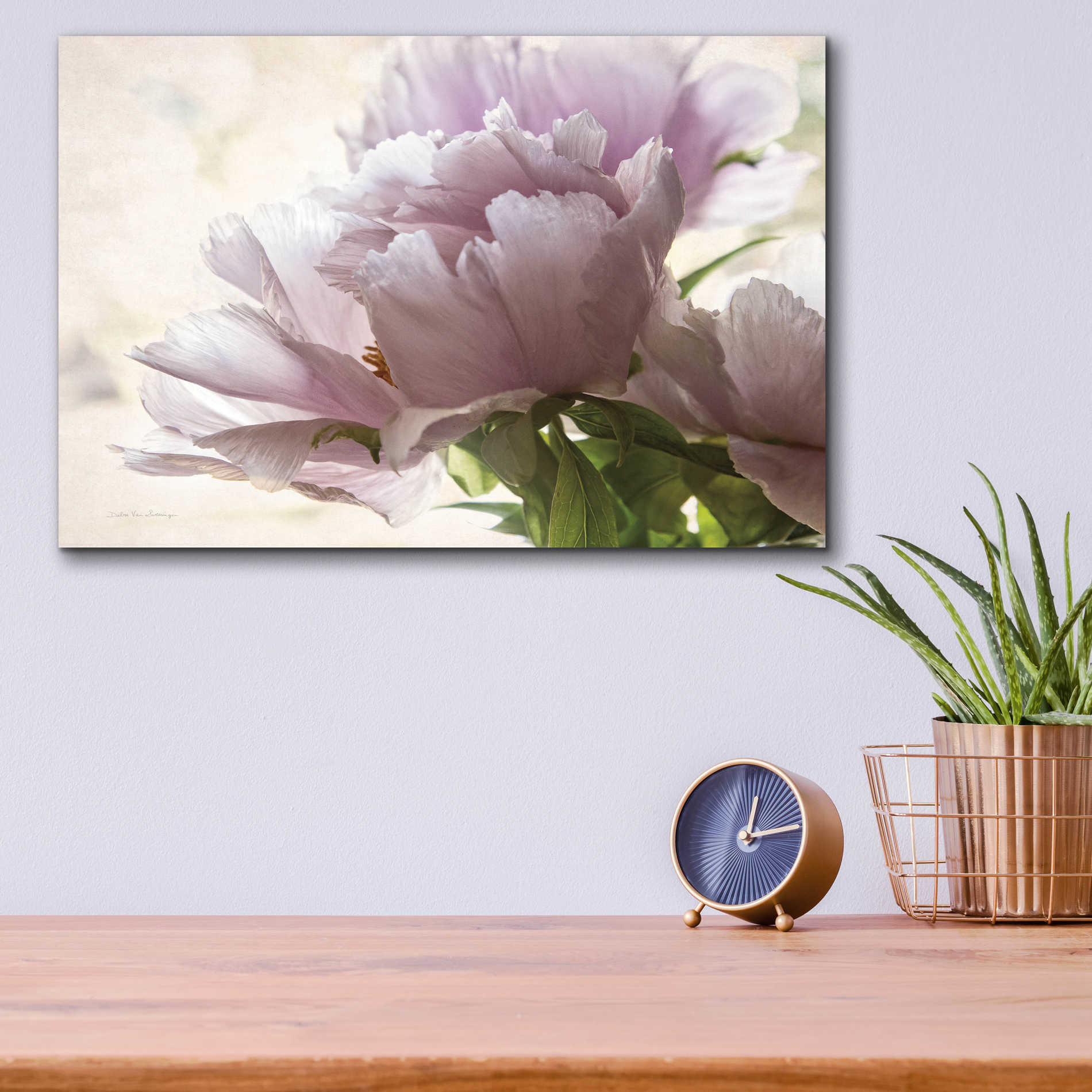 Epic Art 'Translucent Peony I' by Debra Van Swearingen, Acrylic Glass Wall Art,16x12