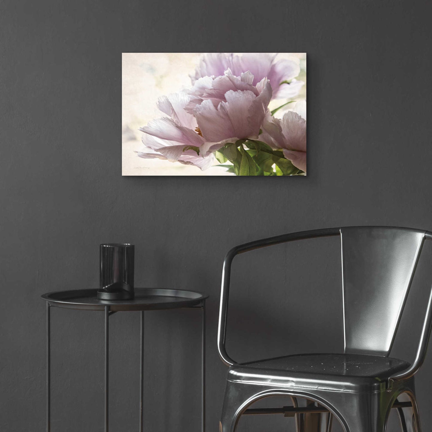 Epic Art 'Translucent Peony I' by Debra Van Swearingen, Acrylic Glass Wall Art,24x16