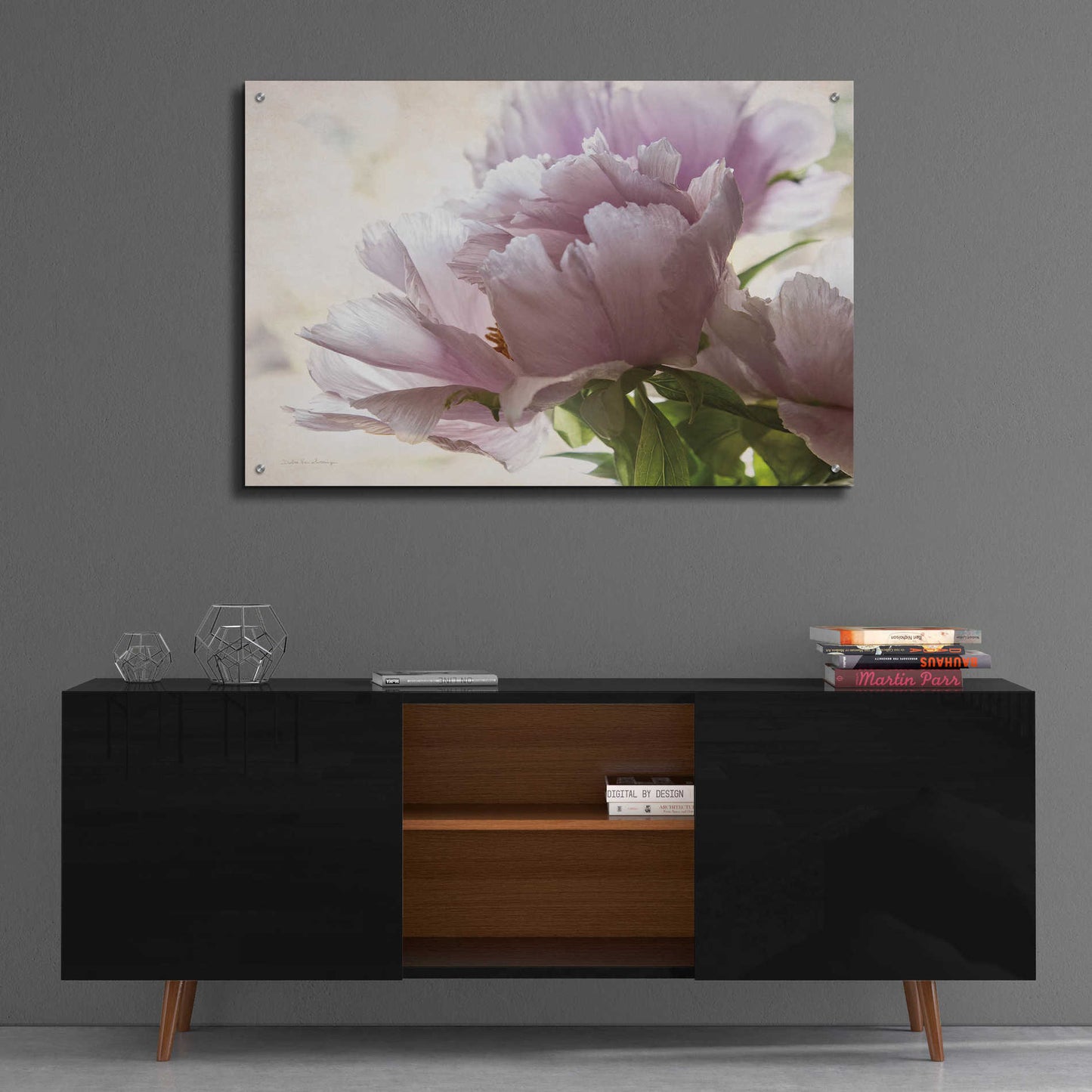 Epic Art 'Translucent Peony I' by Debra Van Swearingen, Acrylic Glass Wall Art,36x24