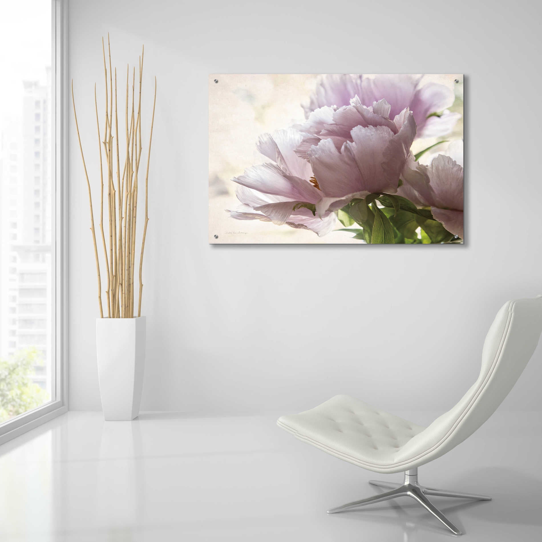 Epic Art 'Translucent Peony I' by Debra Van Swearingen, Acrylic Glass Wall Art,36x24