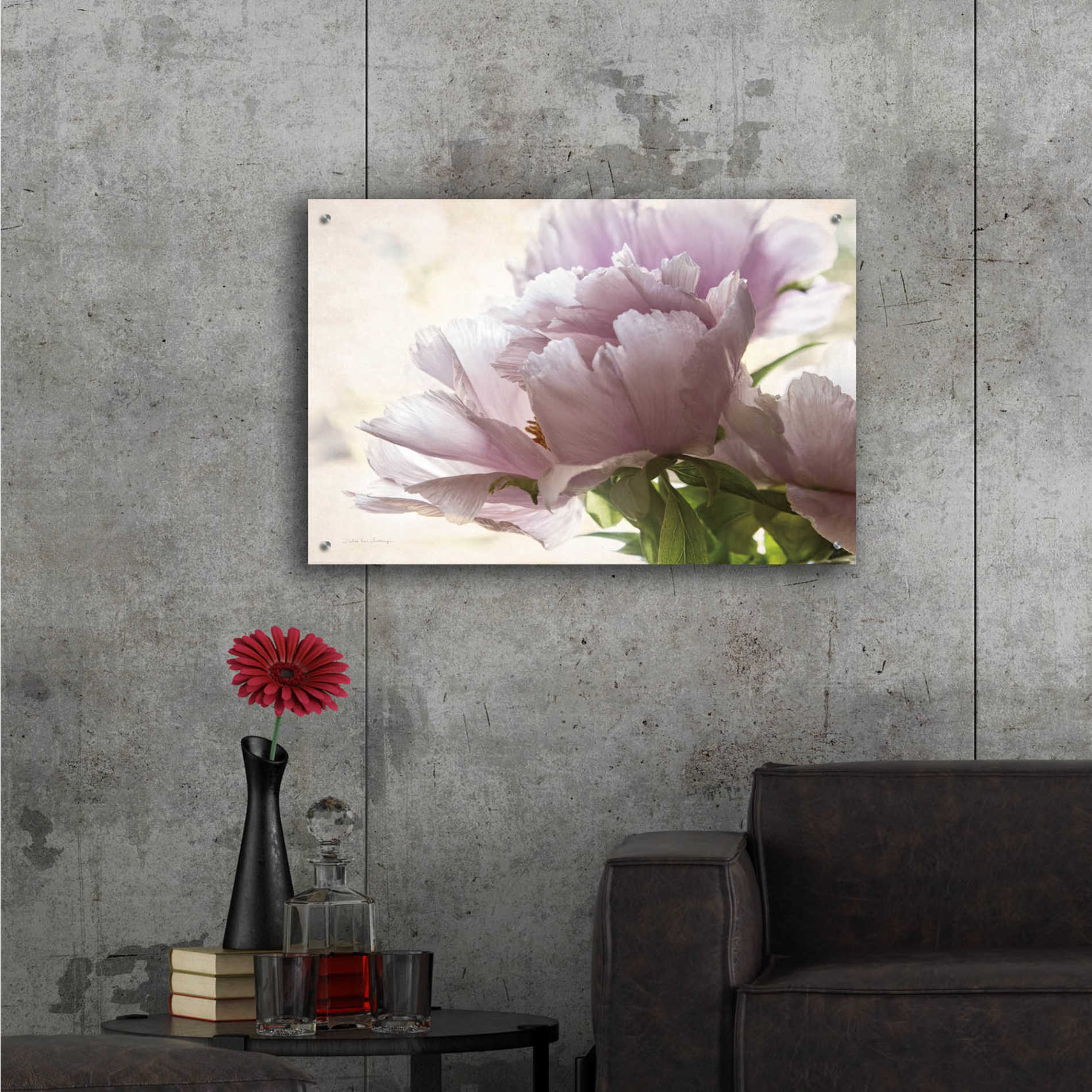 Epic Art 'Translucent Peony I' by Debra Van Swearingen, Acrylic Glass Wall Art,36x24