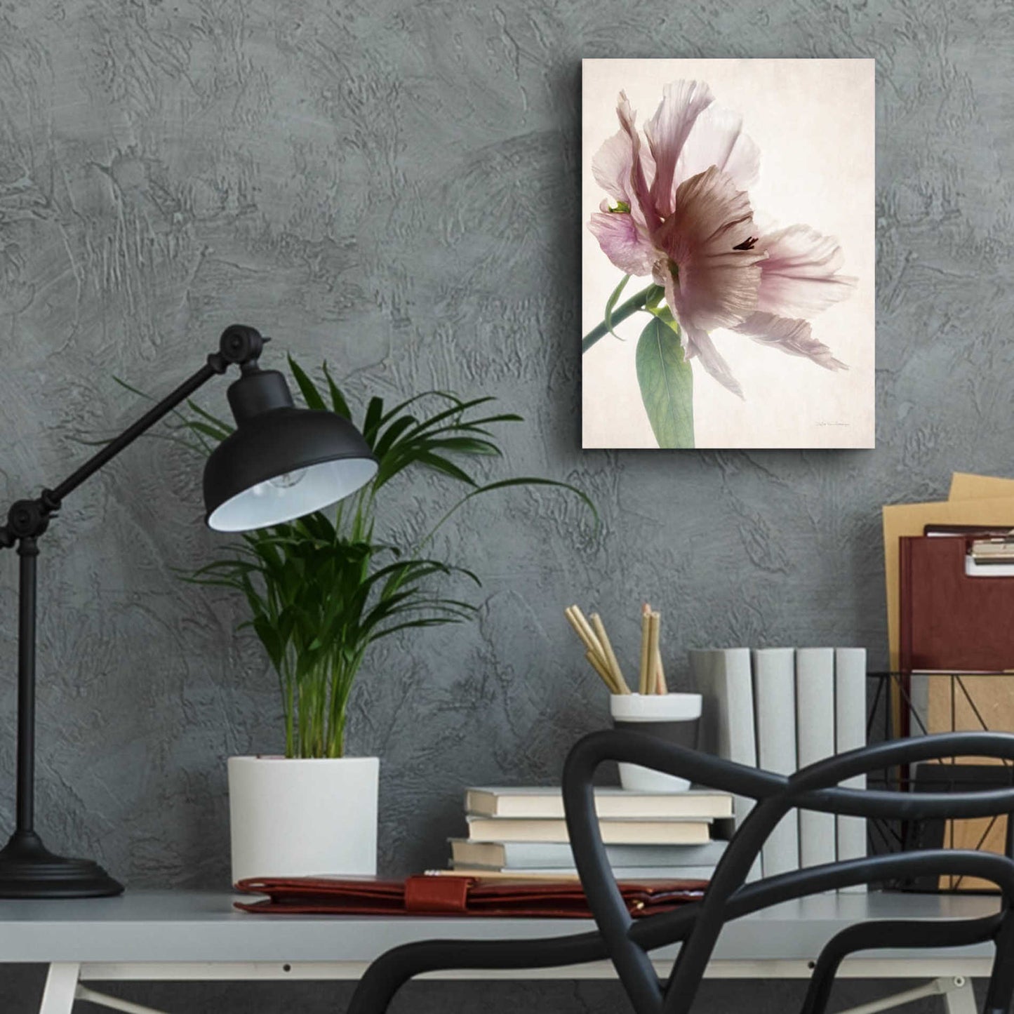 Epic Art 'Translucent Peony II' by Debra Van Swearingen, Acrylic Glass Wall Art,12x16