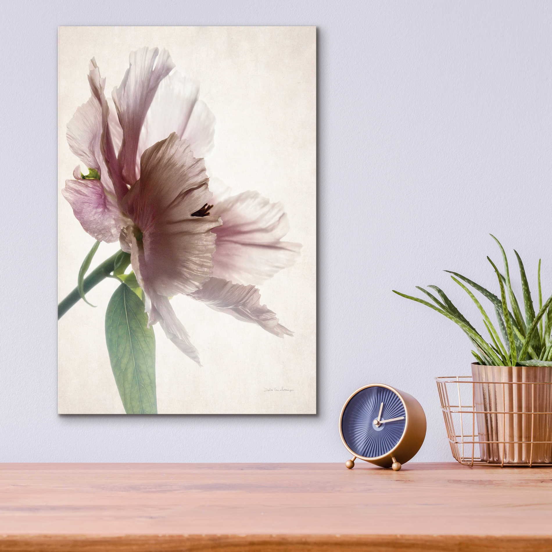 Epic Art 'Translucent Peony II' by Debra Van Swearingen, Acrylic Glass Wall Art,12x16