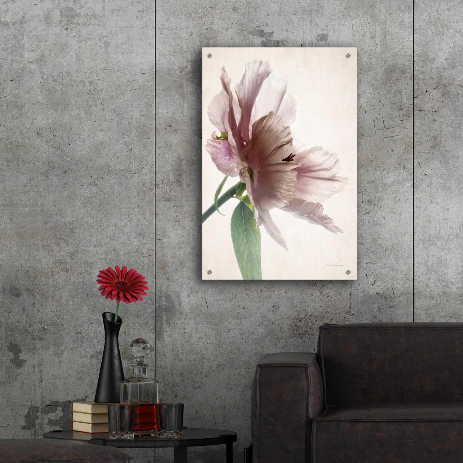 Epic Art 'Translucent Peony II' by Debra Van Swearingen, Acrylic Glass Wall Art,24x36