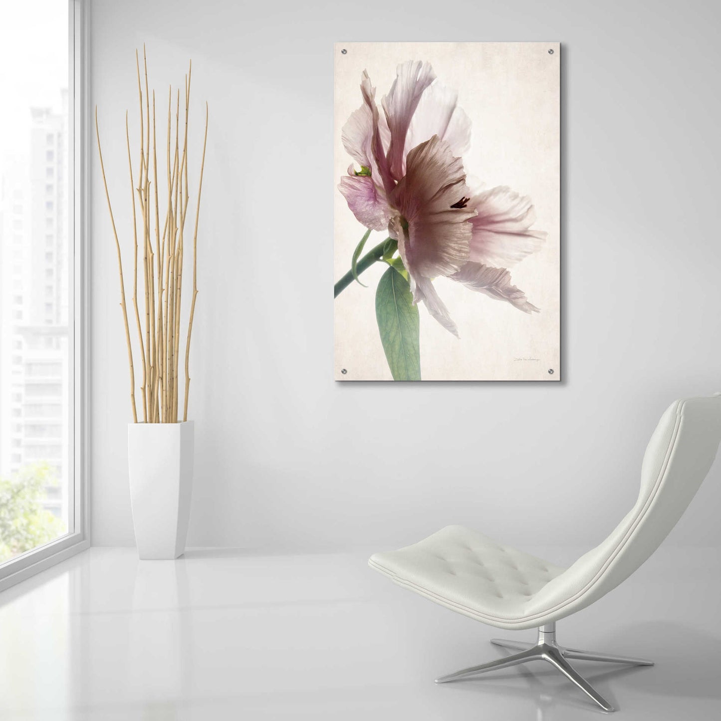 Epic Art 'Translucent Peony II' by Debra Van Swearingen, Acrylic Glass Wall Art,24x36