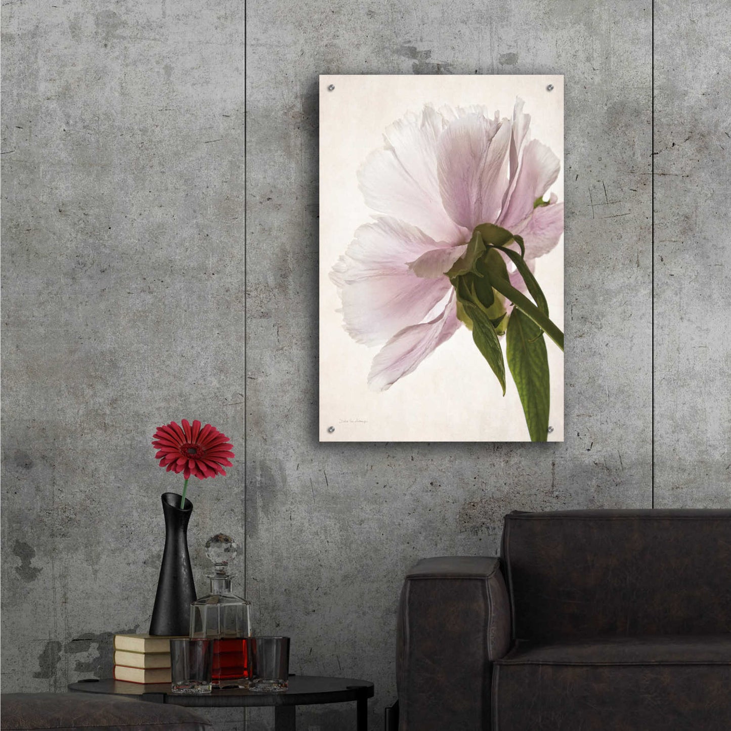 Epic Art 'Translucent Peony III' by Debra Van Swearingen, Acrylic Glass Wall Art,24x36