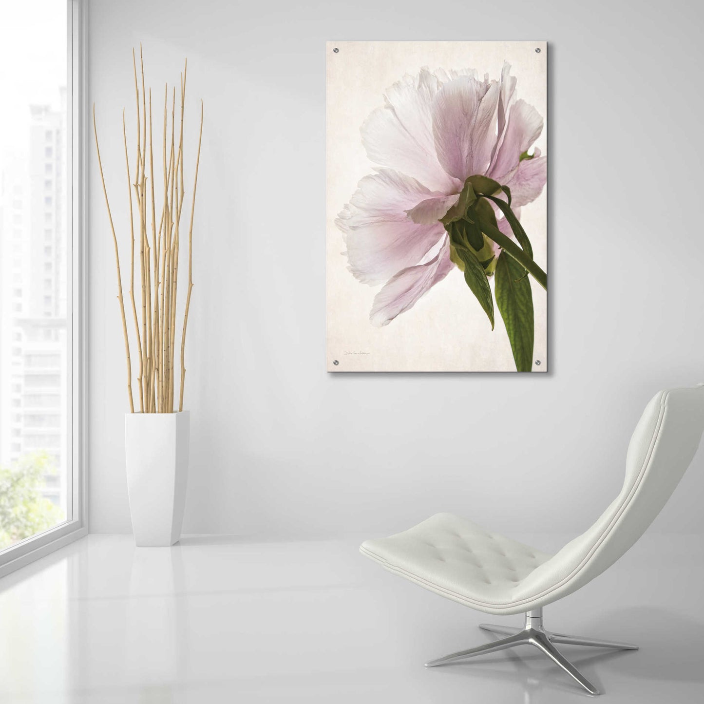 Epic Art 'Translucent Peony III' by Debra Van Swearingen, Acrylic Glass Wall Art,24x36