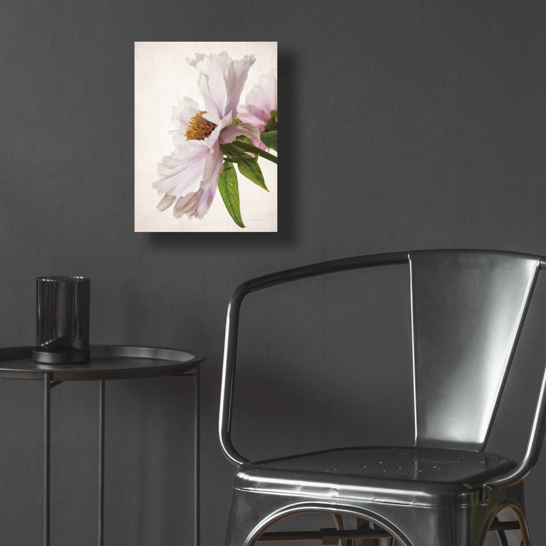 Epic Art 'Translucent Peony IV' by Debra Van Swearingen, Acrylic Glass Wall Art,12x16