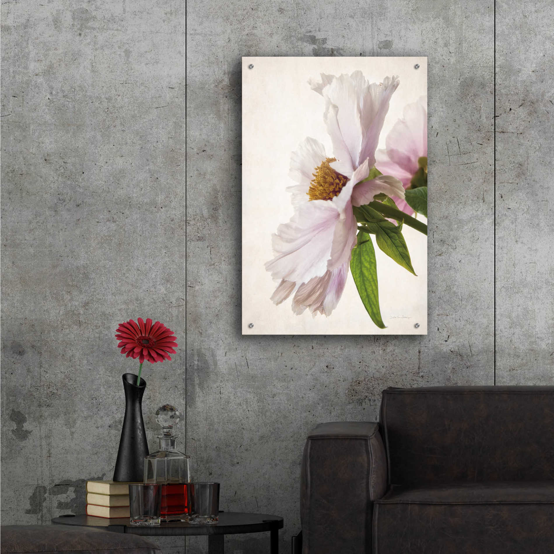 Epic Art 'Translucent Peony IV' by Debra Van Swearingen, Acrylic Glass Wall Art,24x36