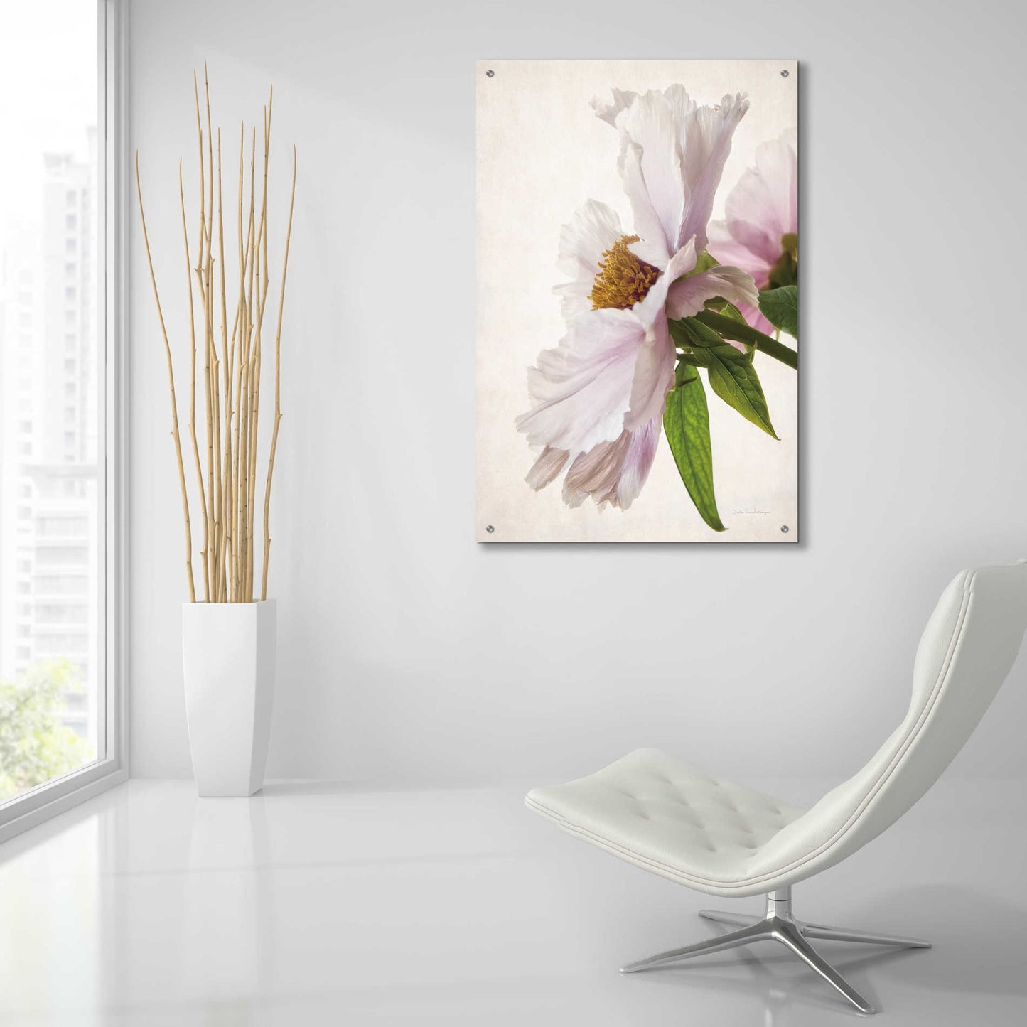 Epic Art 'Translucent Peony IV' by Debra Van Swearingen, Acrylic Glass Wall Art,24x36