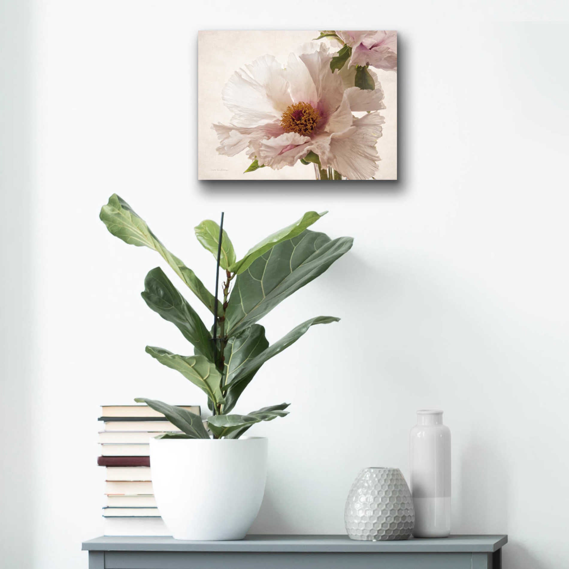 Epic Art 'Translucent Peony V' by Debra Van Swearingen, Acrylic Glass Wall Art,16x12