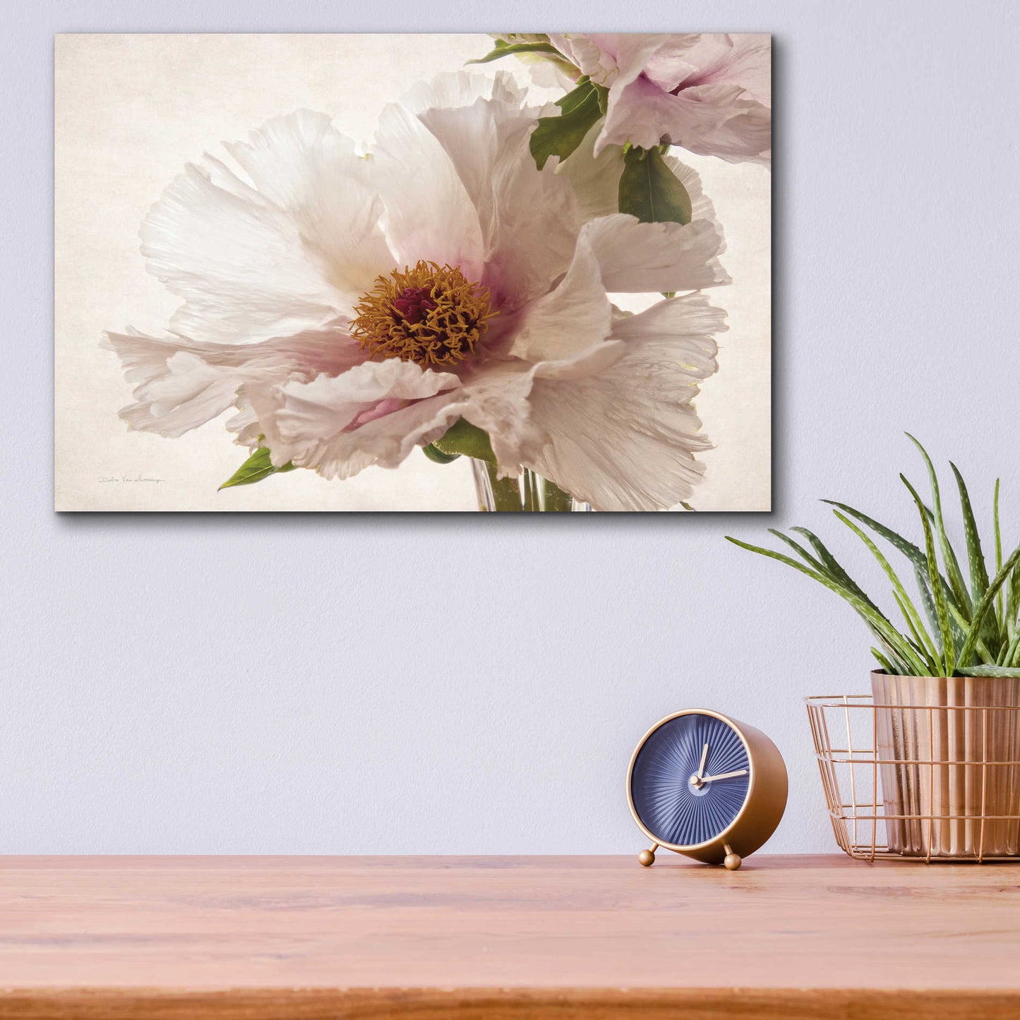 Epic Art 'Translucent Peony V' by Debra Van Swearingen, Acrylic Glass Wall Art,16x12