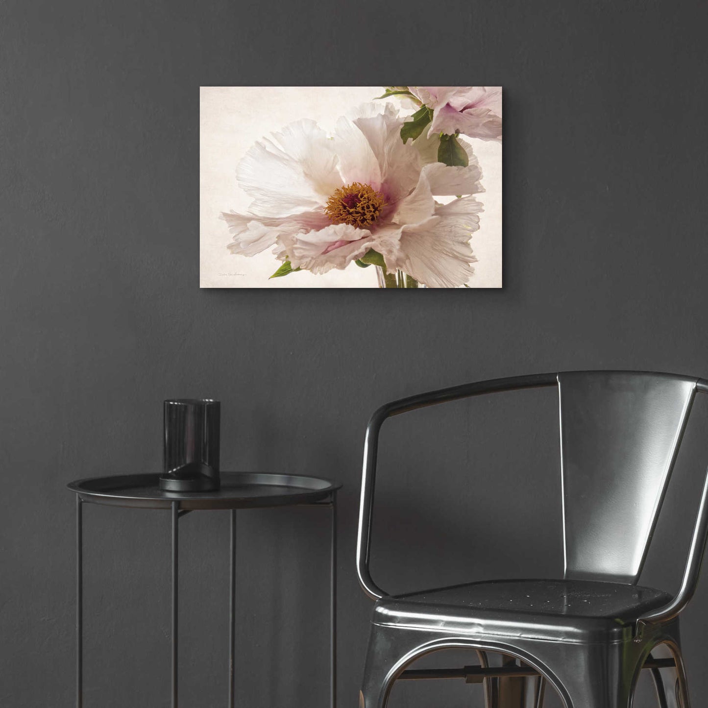 Epic Art 'Translucent Peony V' by Debra Van Swearingen, Acrylic Glass Wall Art,24x16