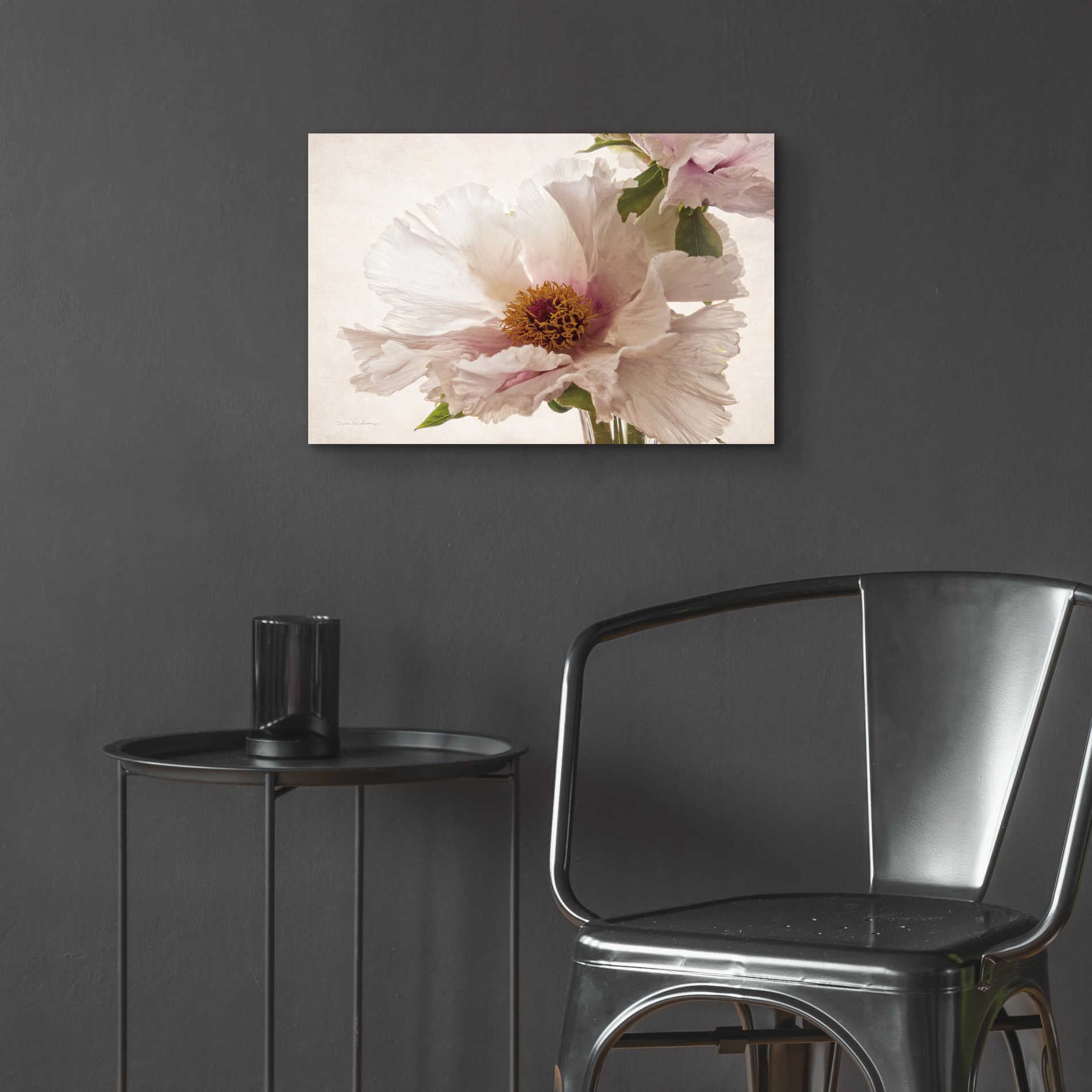 Epic Art 'Translucent Peony V' by Debra Van Swearingen, Acrylic Glass Wall Art,24x16