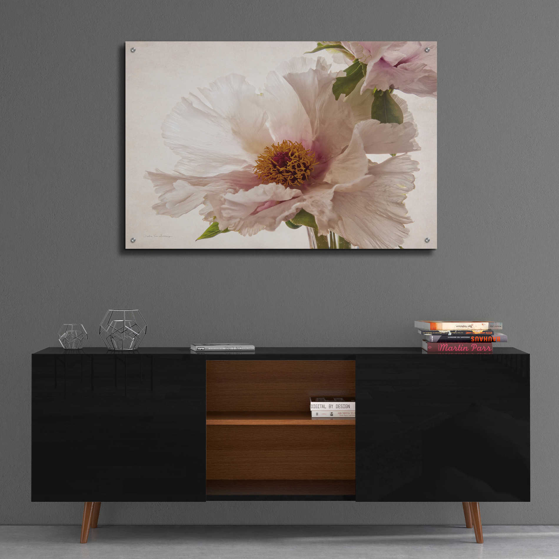 Epic Art 'Translucent Peony V' by Debra Van Swearingen, Acrylic Glass Wall Art,36x24