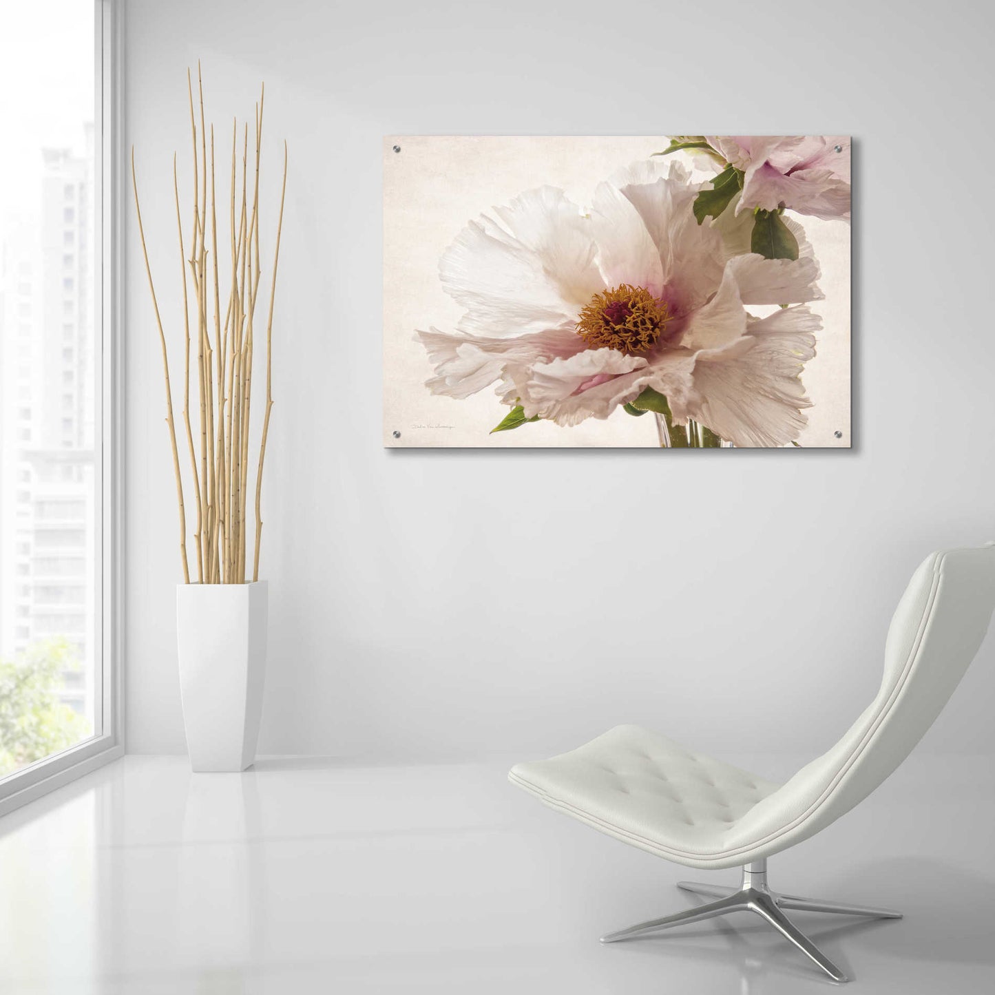 Epic Art 'Translucent Peony V' by Debra Van Swearingen, Acrylic Glass Wall Art,36x24