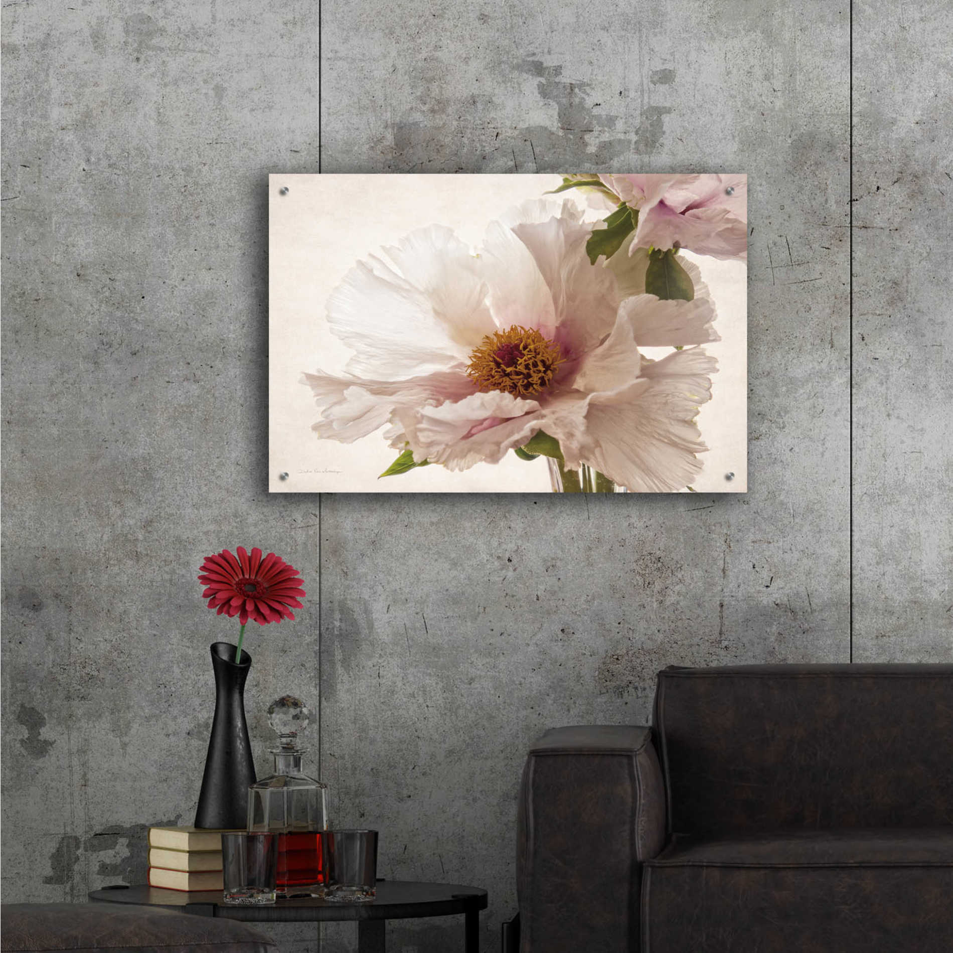 Epic Art 'Translucent Peony V' by Debra Van Swearingen, Acrylic Glass Wall Art,36x24