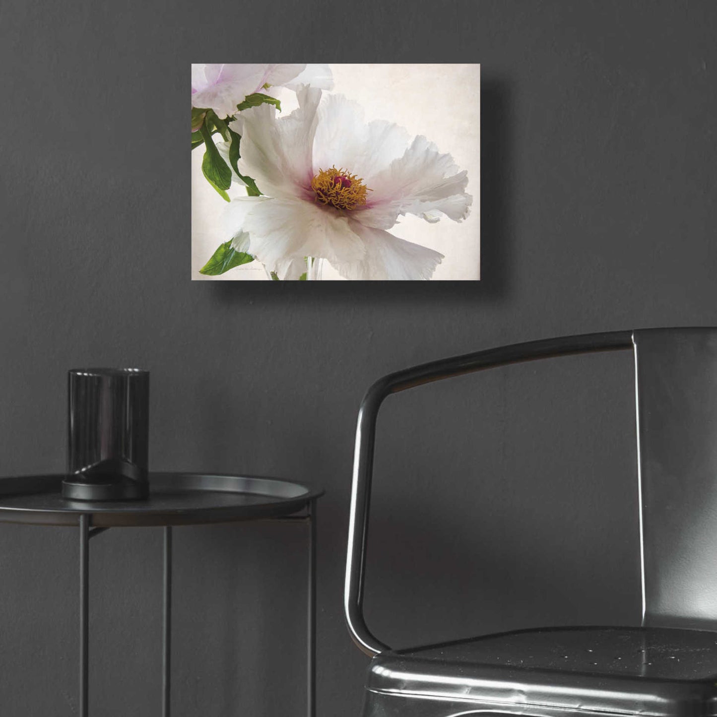 Epic Art 'Translucent Peony VI' by Debra Van Swearingen, Acrylic Glass Wall Art,16x12