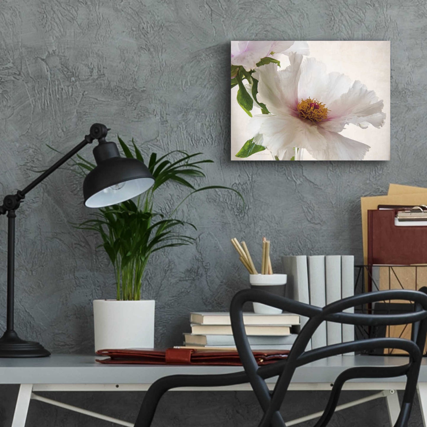 Epic Art 'Translucent Peony VI' by Debra Van Swearingen, Acrylic Glass Wall Art,16x12