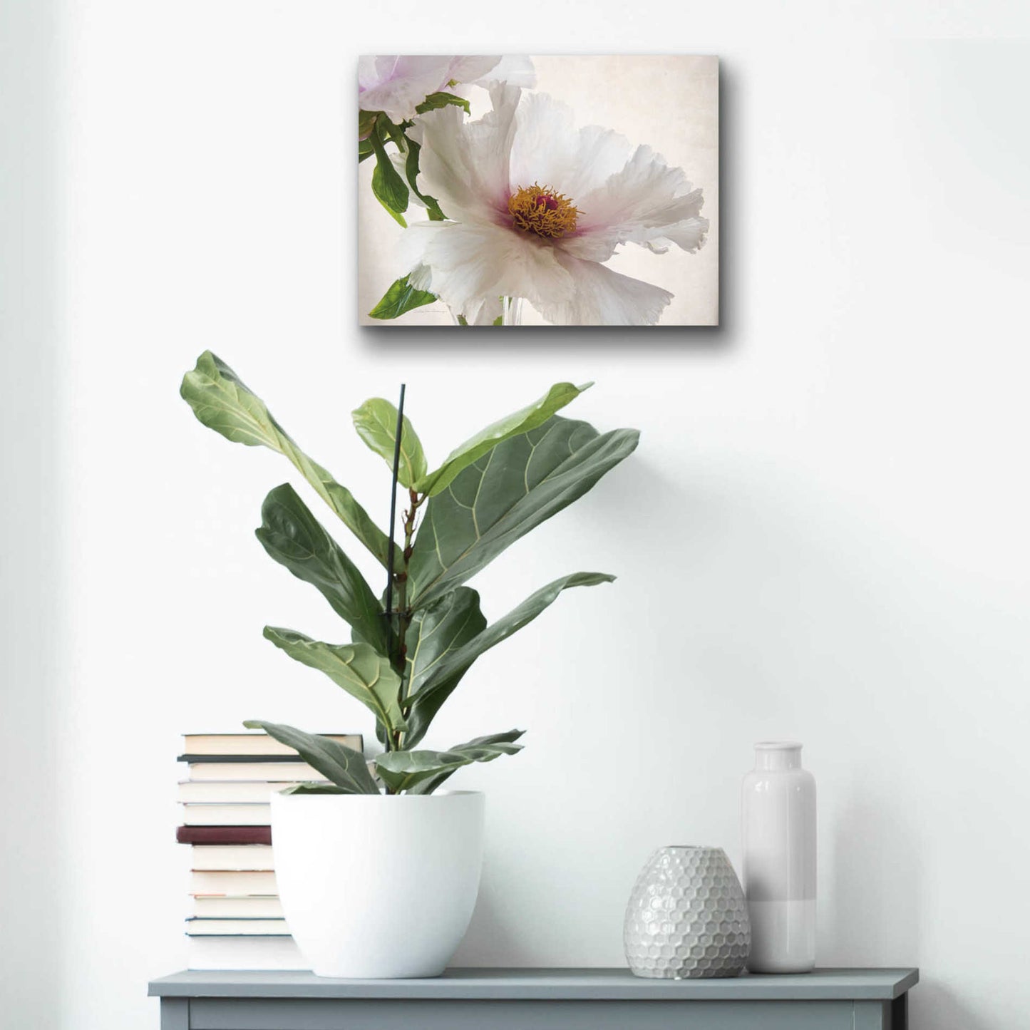 Epic Art 'Translucent Peony VI' by Debra Van Swearingen, Acrylic Glass Wall Art,16x12