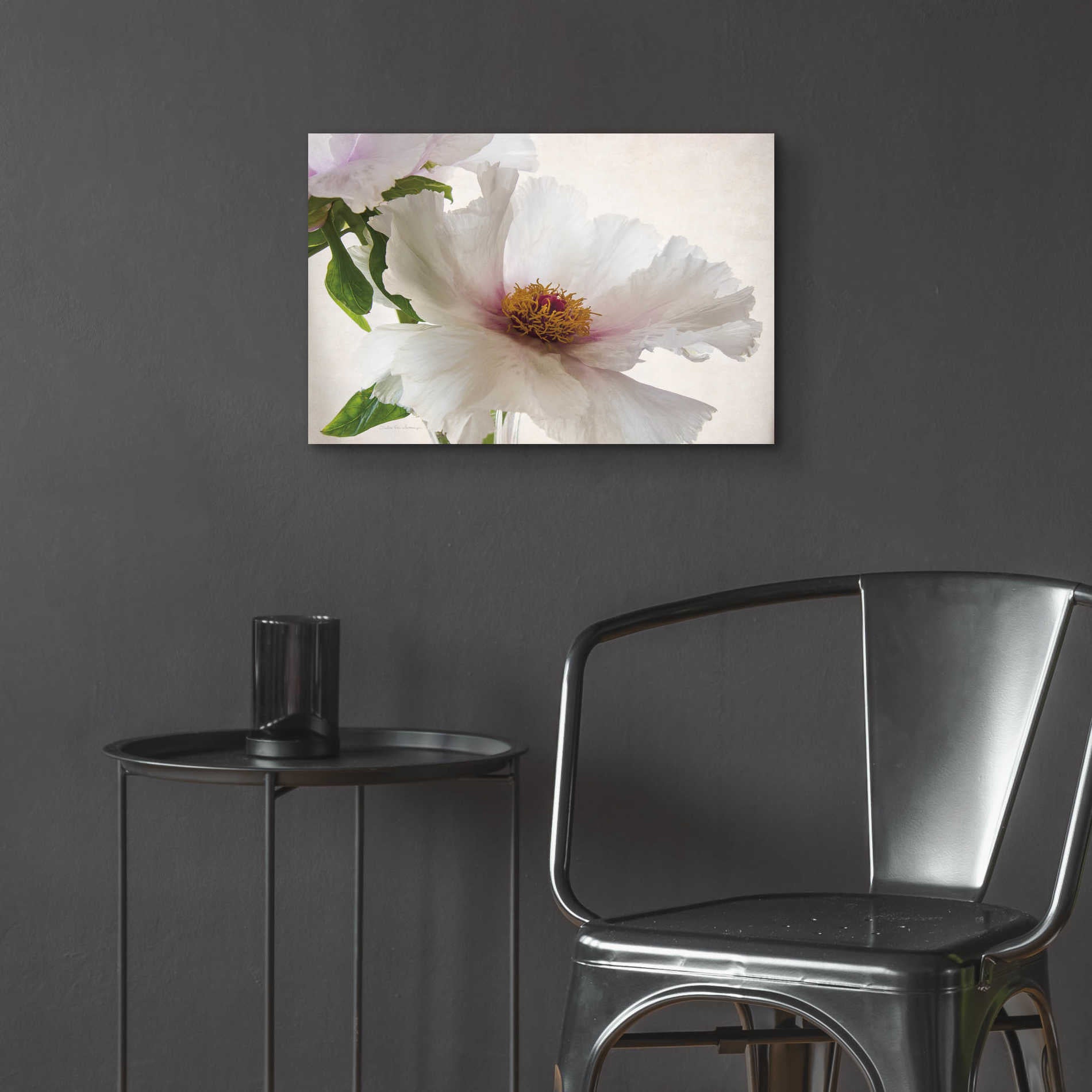 Epic Art 'Translucent Peony VI' by Debra Van Swearingen, Acrylic Glass Wall Art,24x16