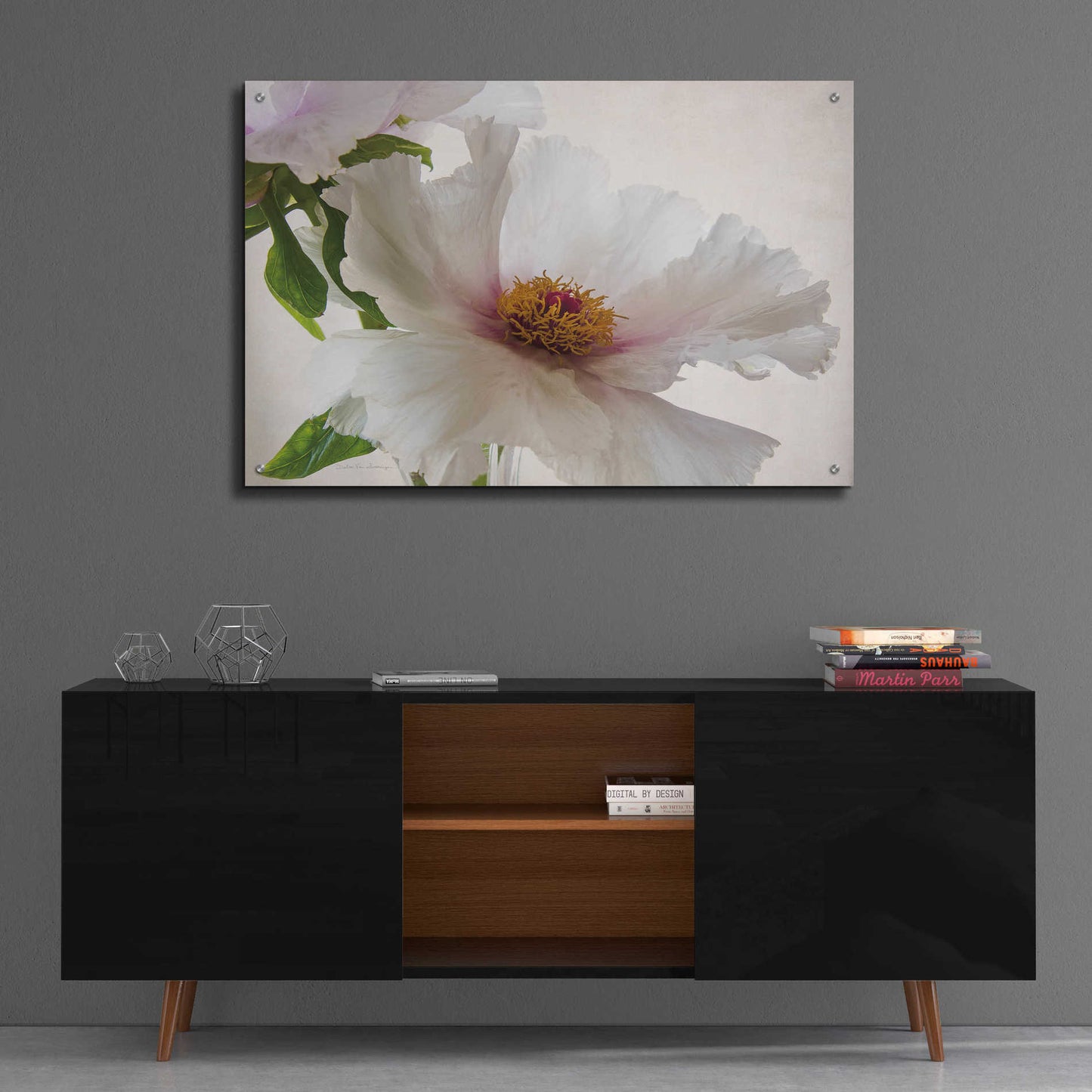 Epic Art 'Translucent Peony VI' by Debra Van Swearingen, Acrylic Glass Wall Art,36x24