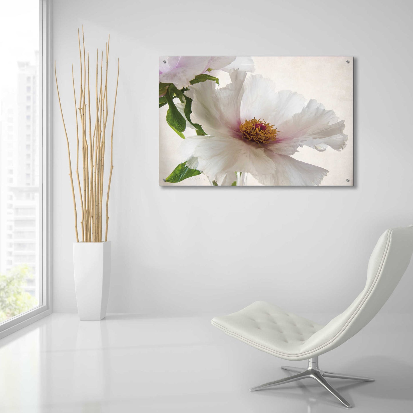 Epic Art 'Translucent Peony VI' by Debra Van Swearingen, Acrylic Glass Wall Art,36x24