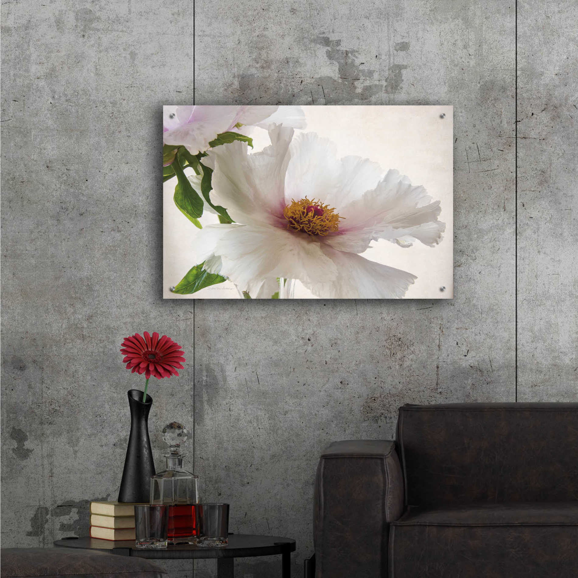 Epic Art 'Translucent Peony VI' by Debra Van Swearingen, Acrylic Glass Wall Art,36x24