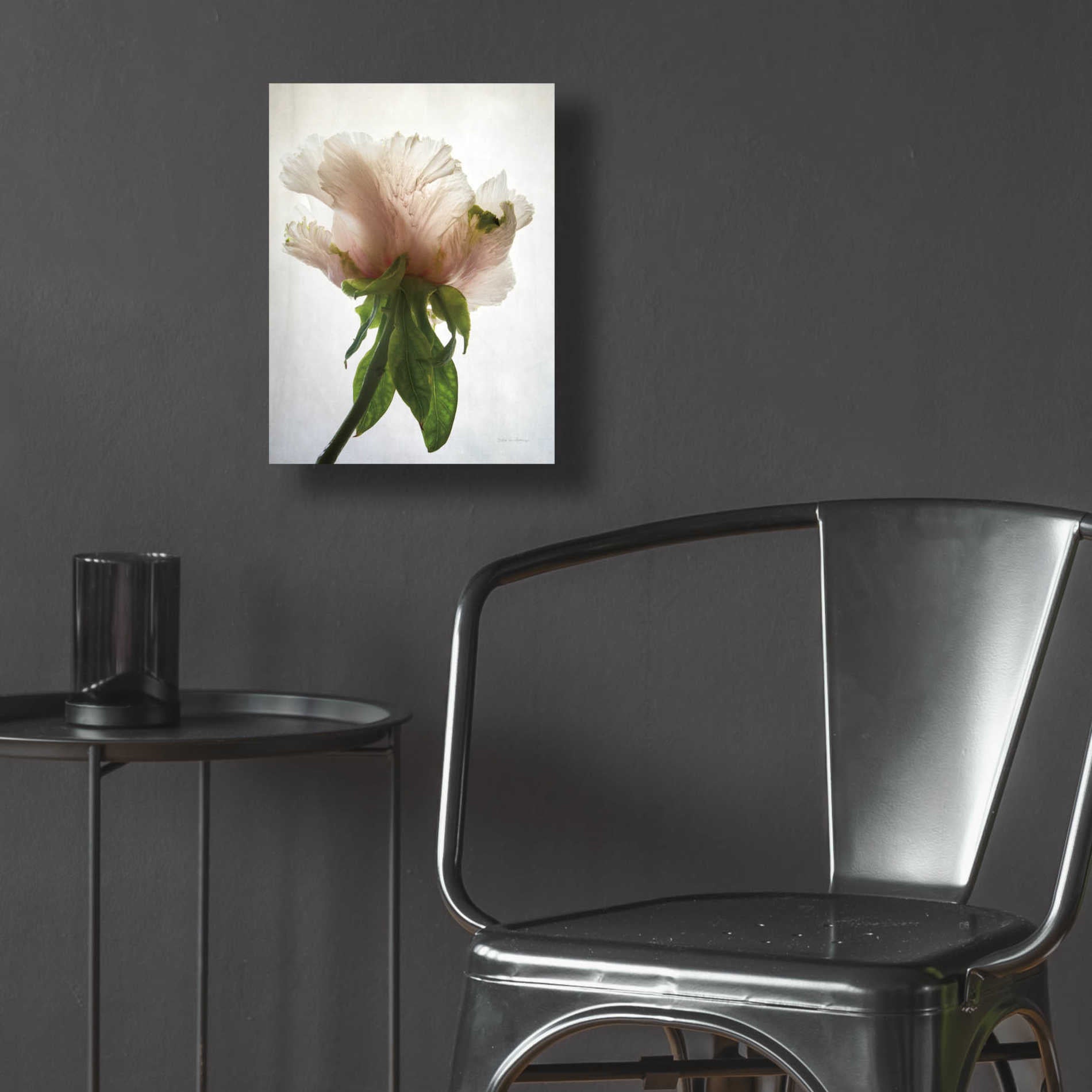 Epic Art 'Translucent Peony VII' by Debra Van Swearingen, Acrylic Glass Wall Art,12x16